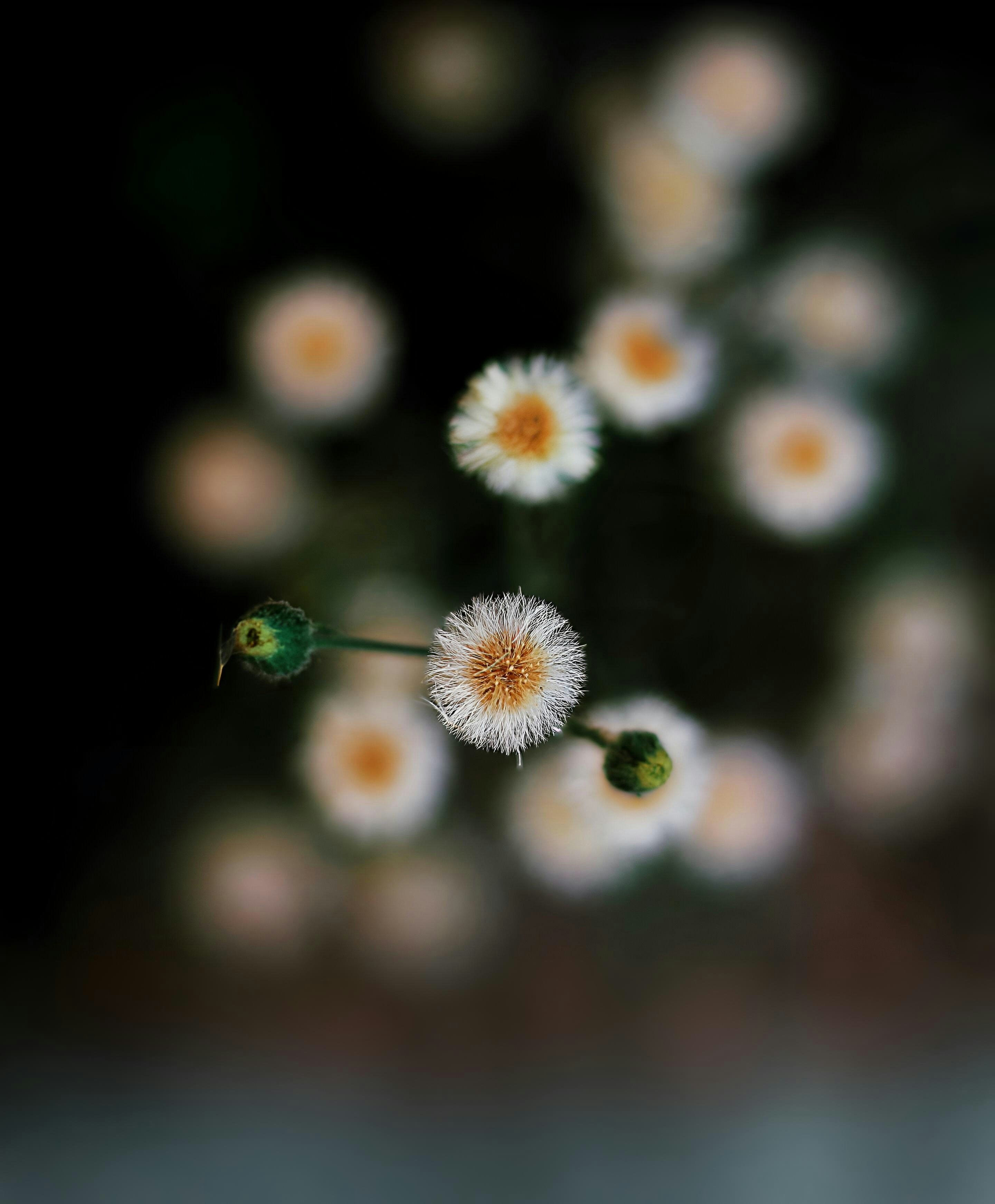 Photo by nachiketgalande