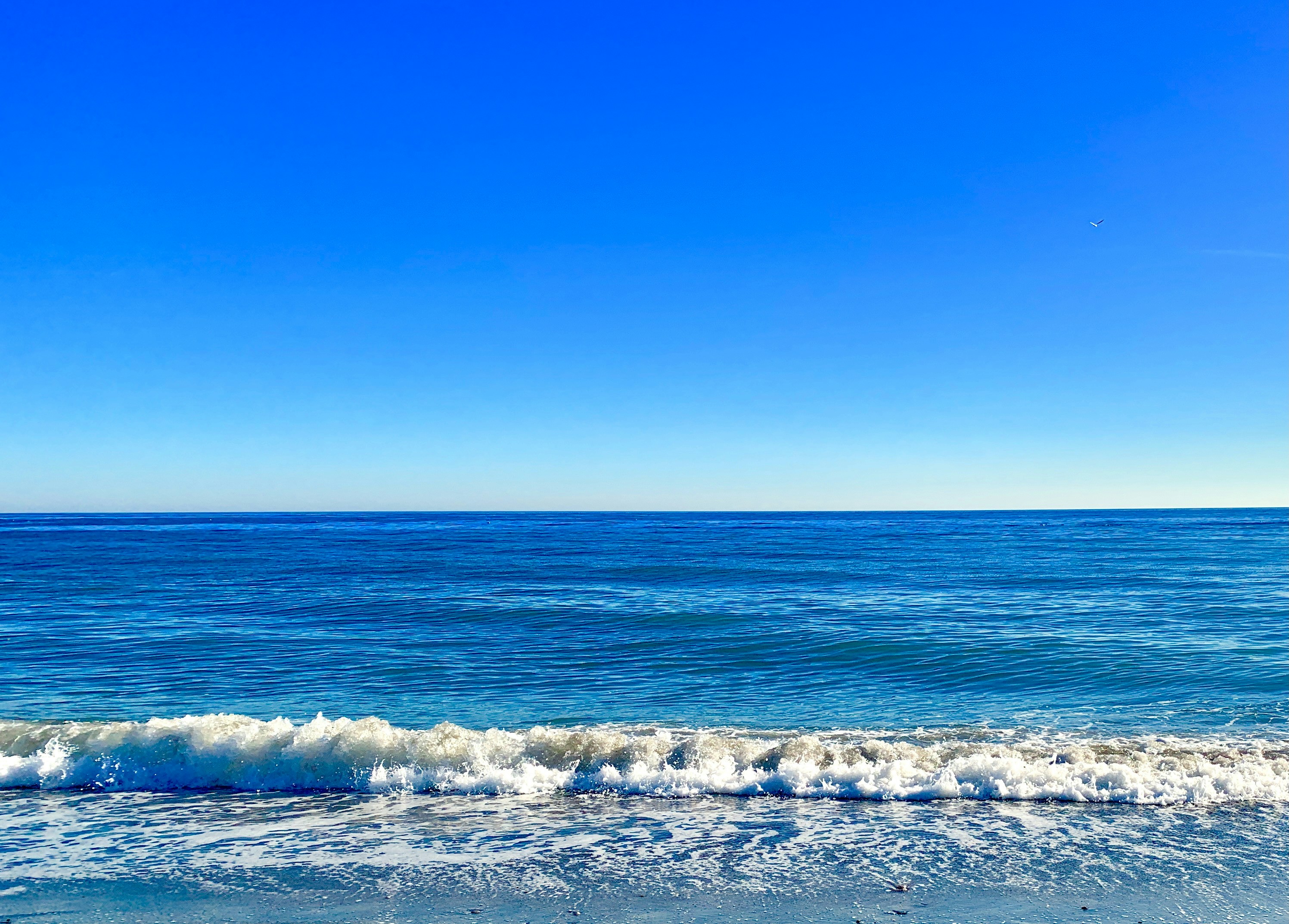 Photo by enriqueahora