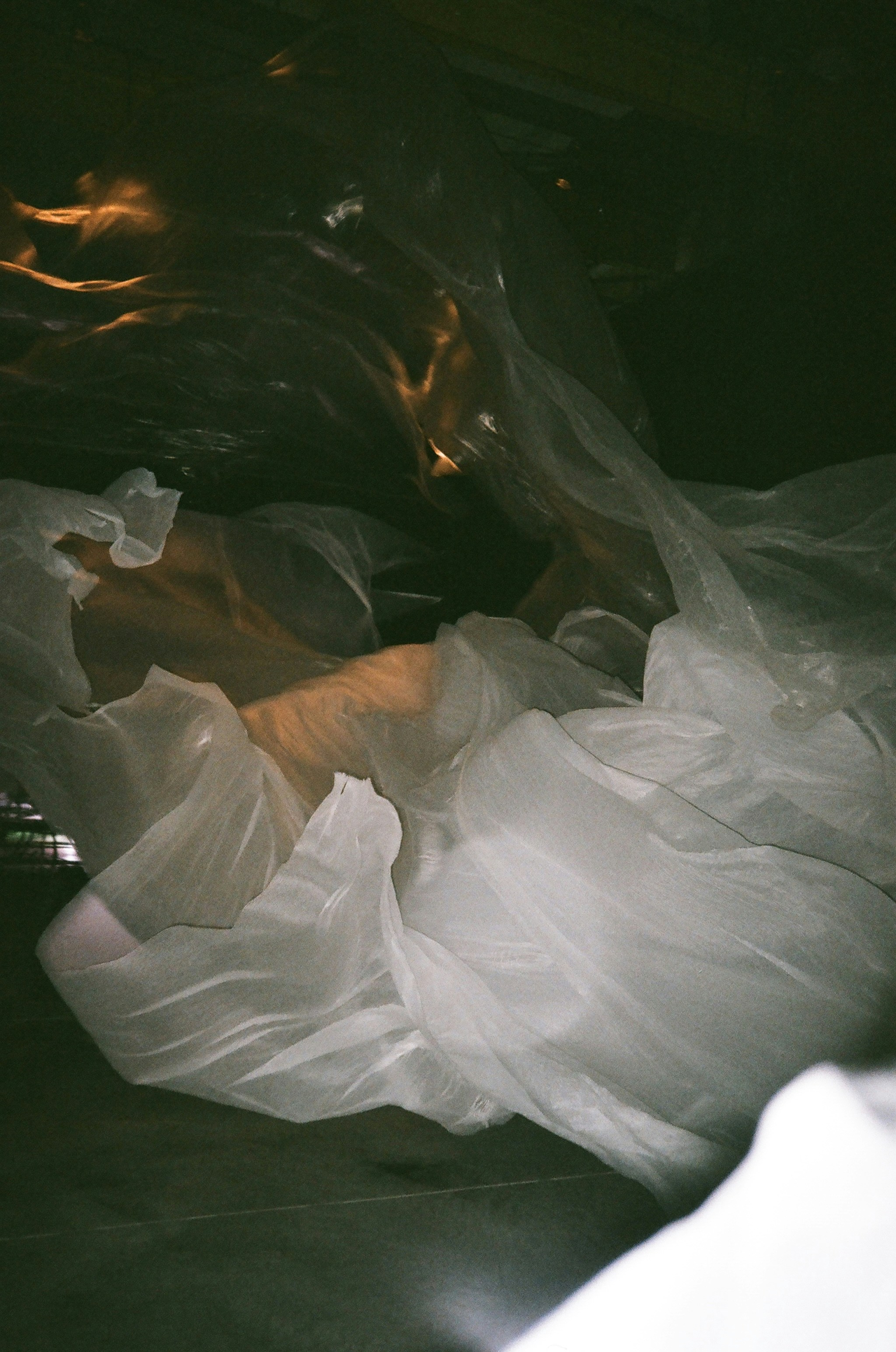 Photo by polinalavor