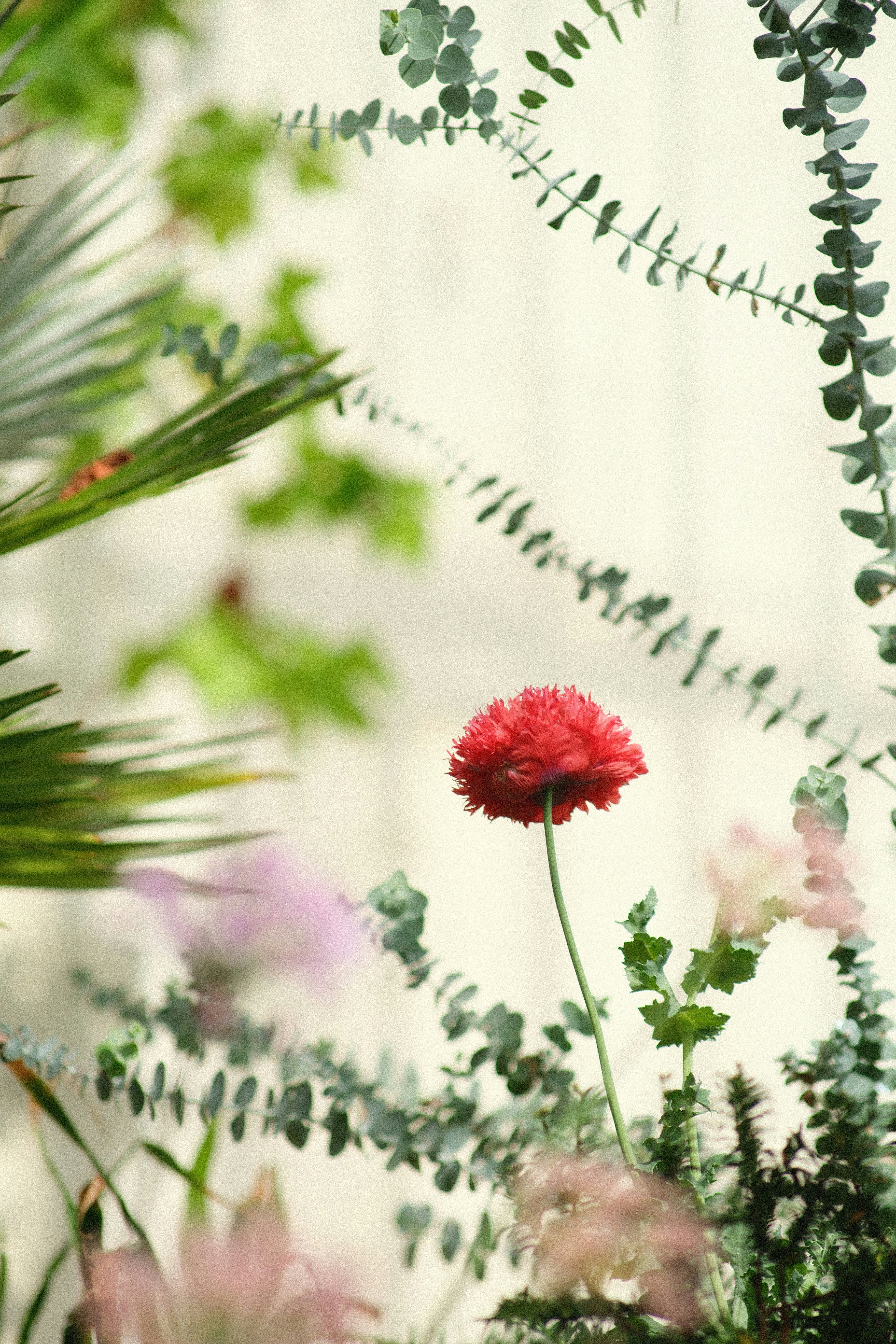 Photo by shahriarrahman