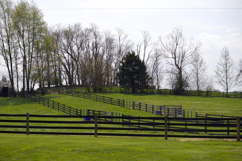 Green irrigated pasture with wood fence in Los Ranchos