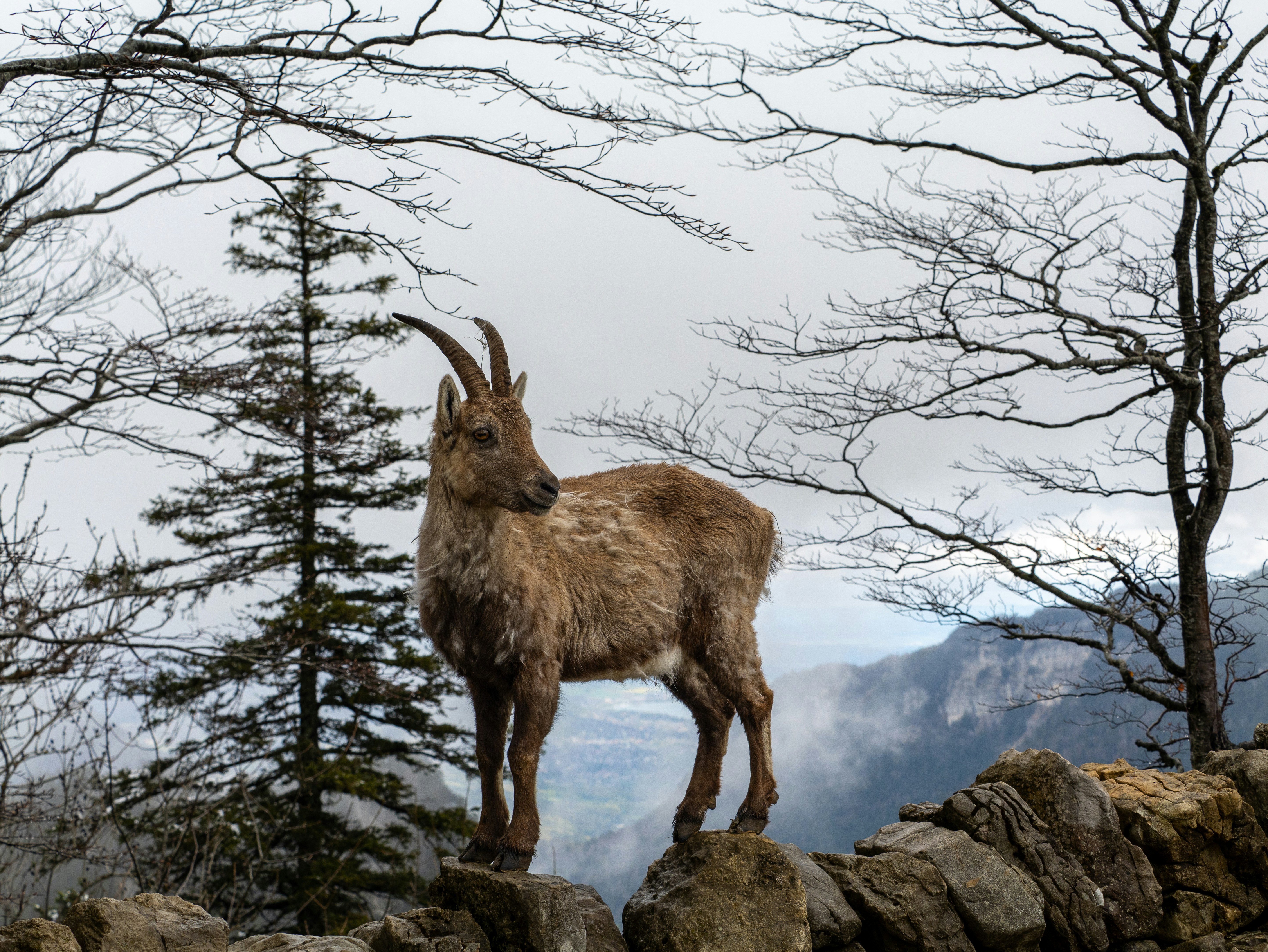 Photo by andrei_7654