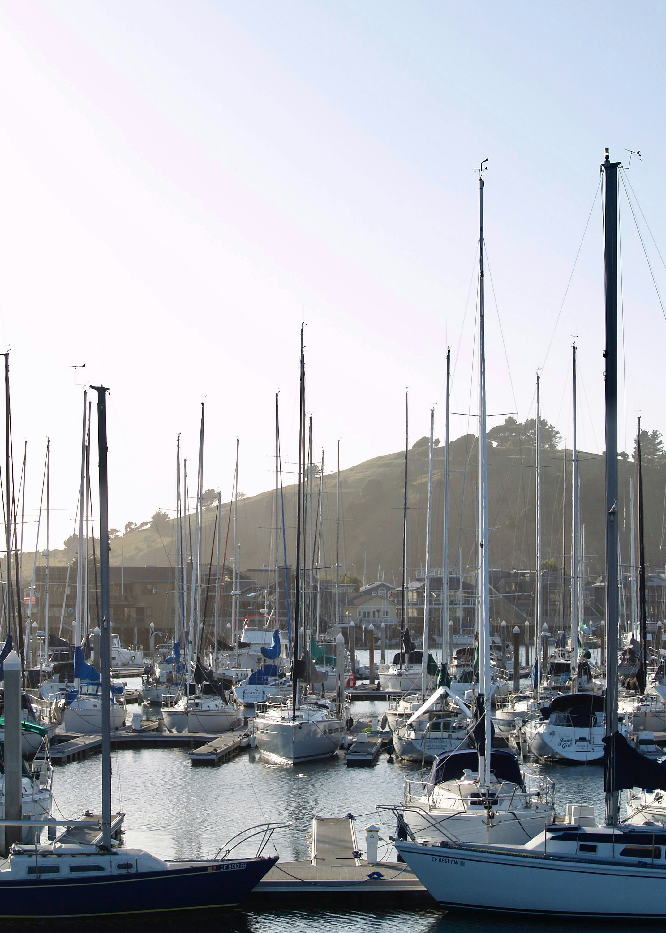 Boats are docked in a sunny harbor.