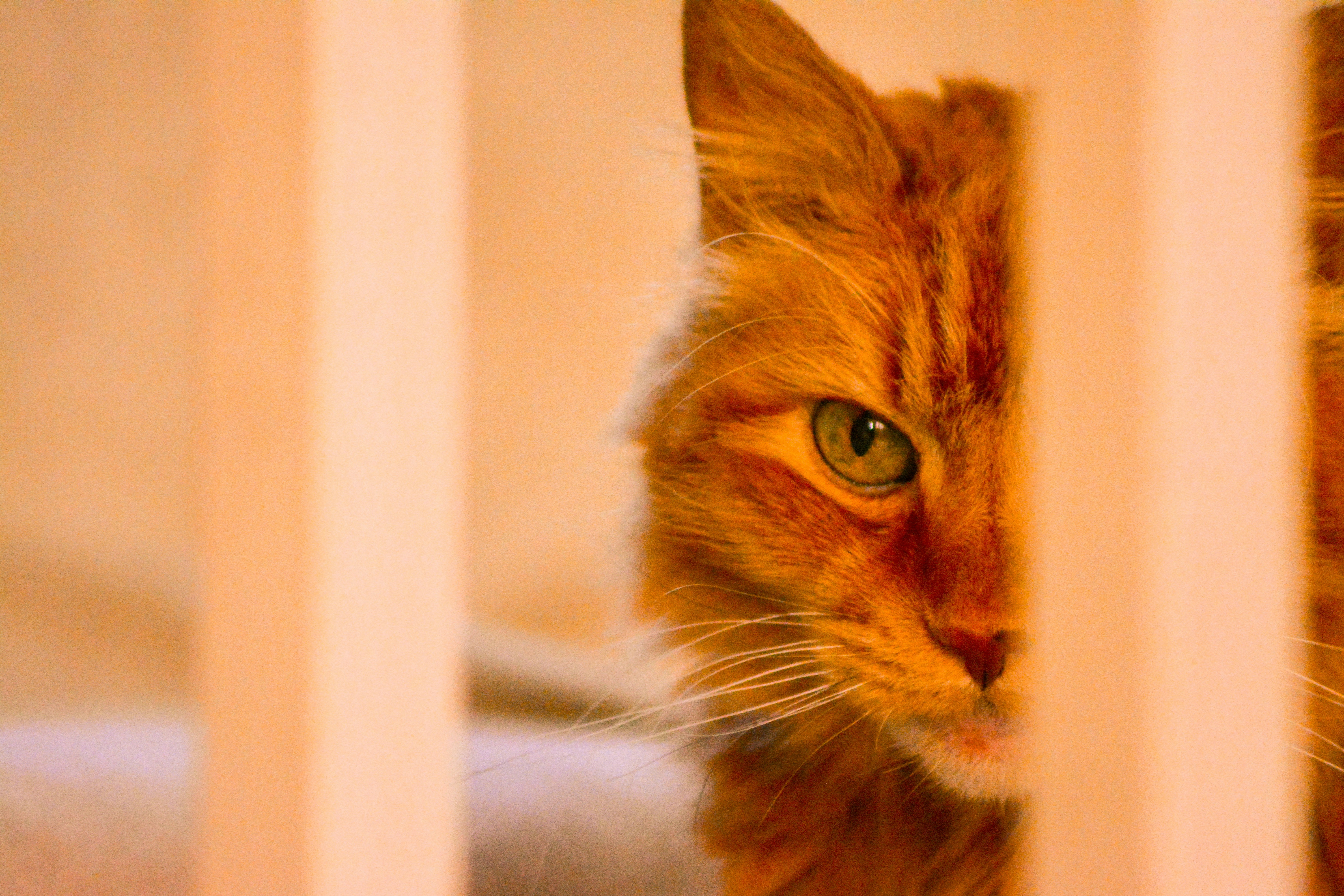 Photo by ggtimestamp