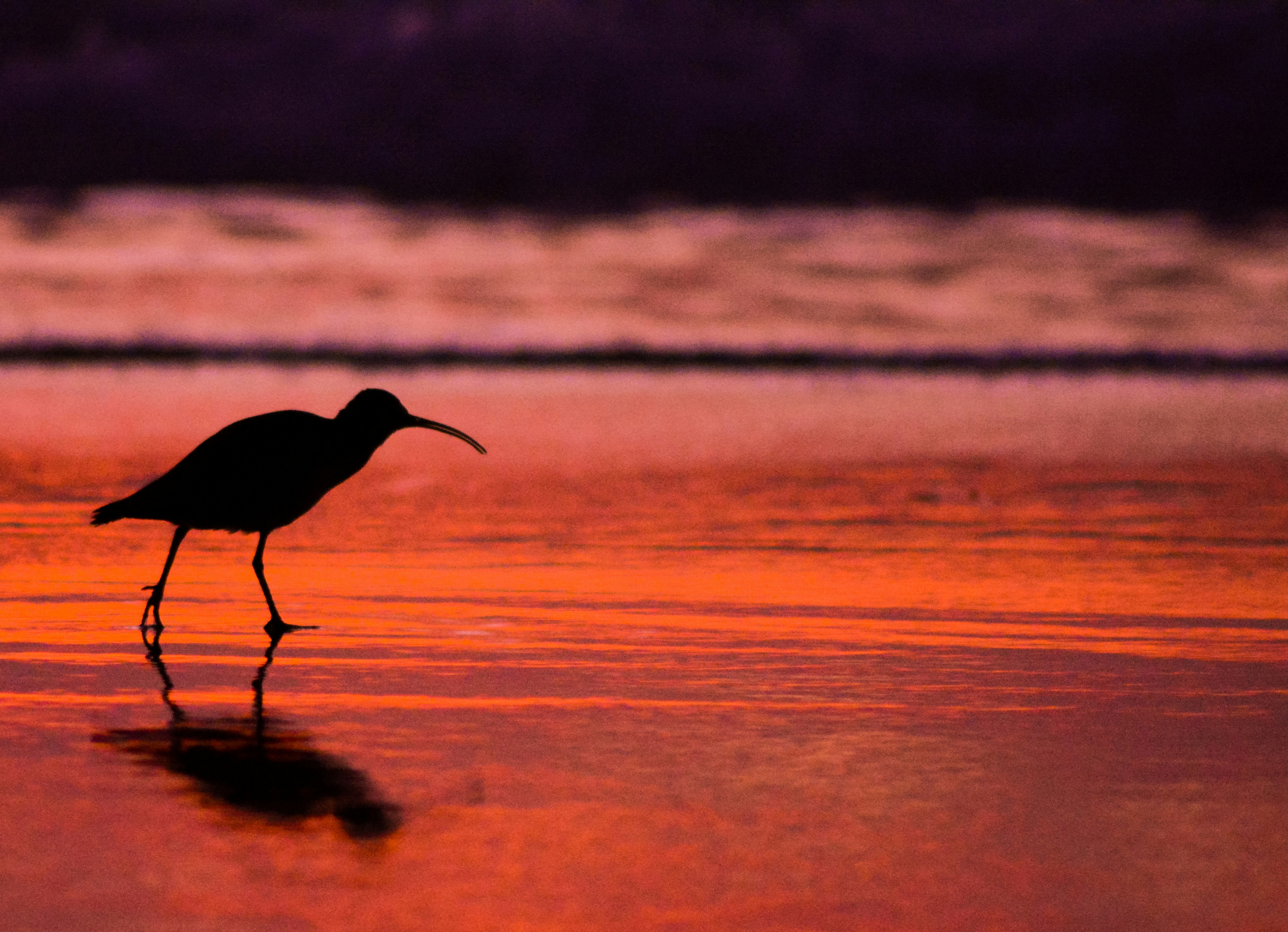 Photo by ggtimestamp