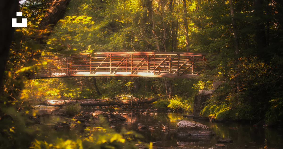 Springtime Forest Bridge A wooden bridge spans a tranquil forest stream. photo – Free Spring ...