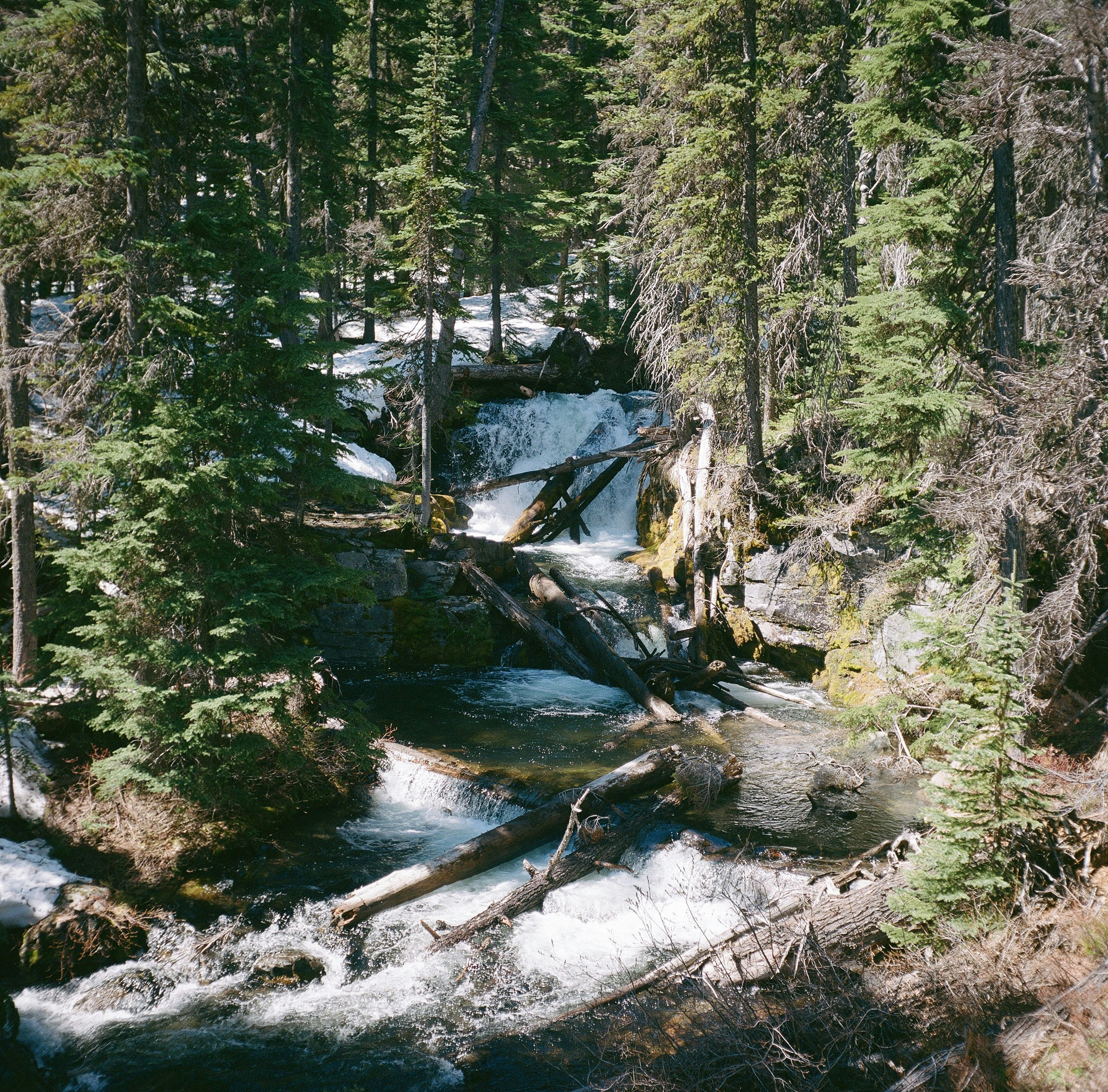 Photo by sierraecho07