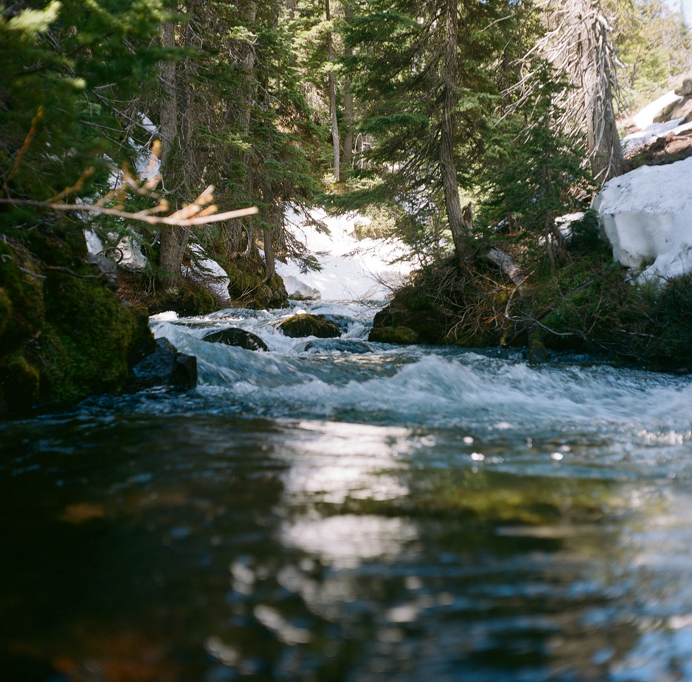 Photo by sierraecho07