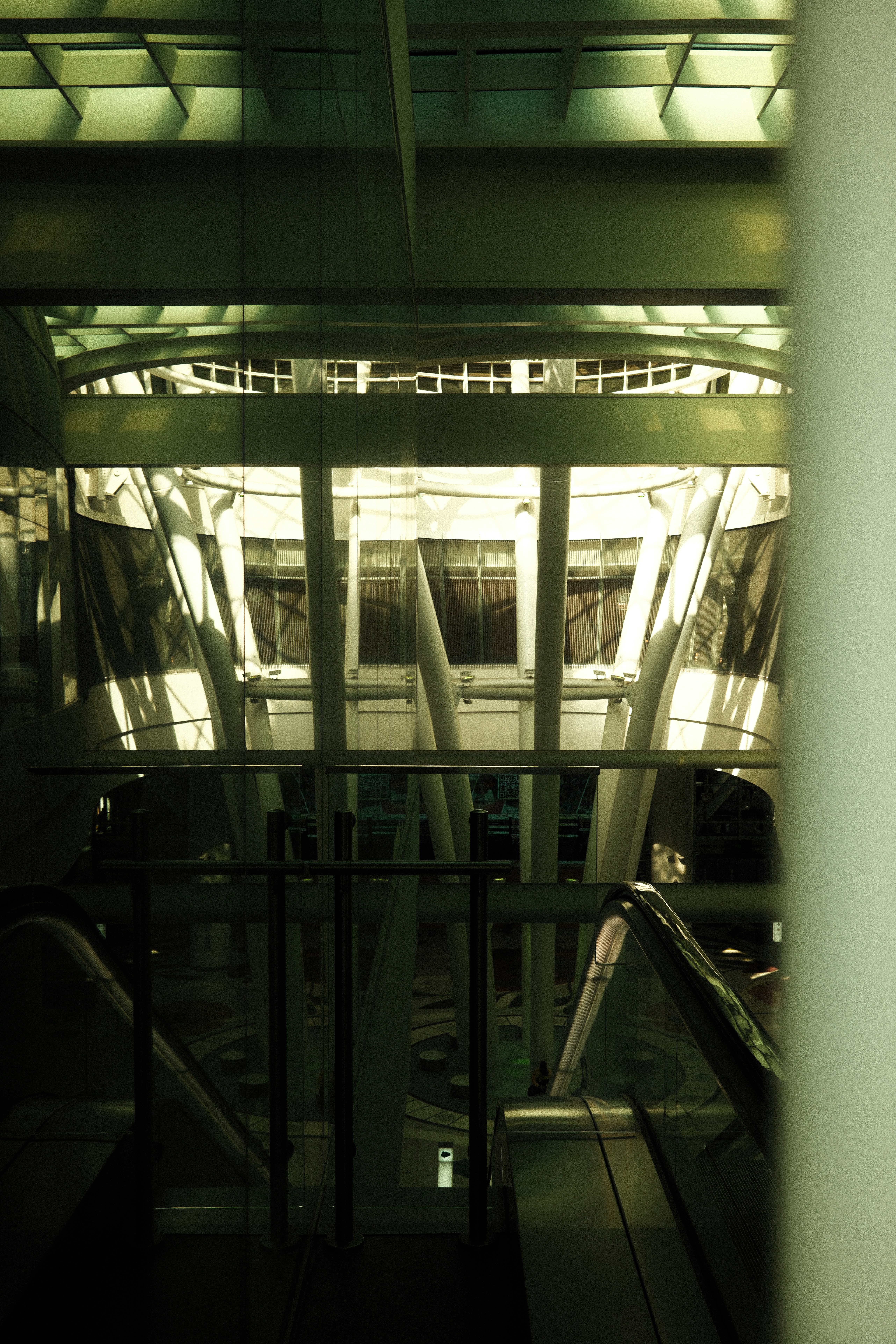 Photo by kalaniparker