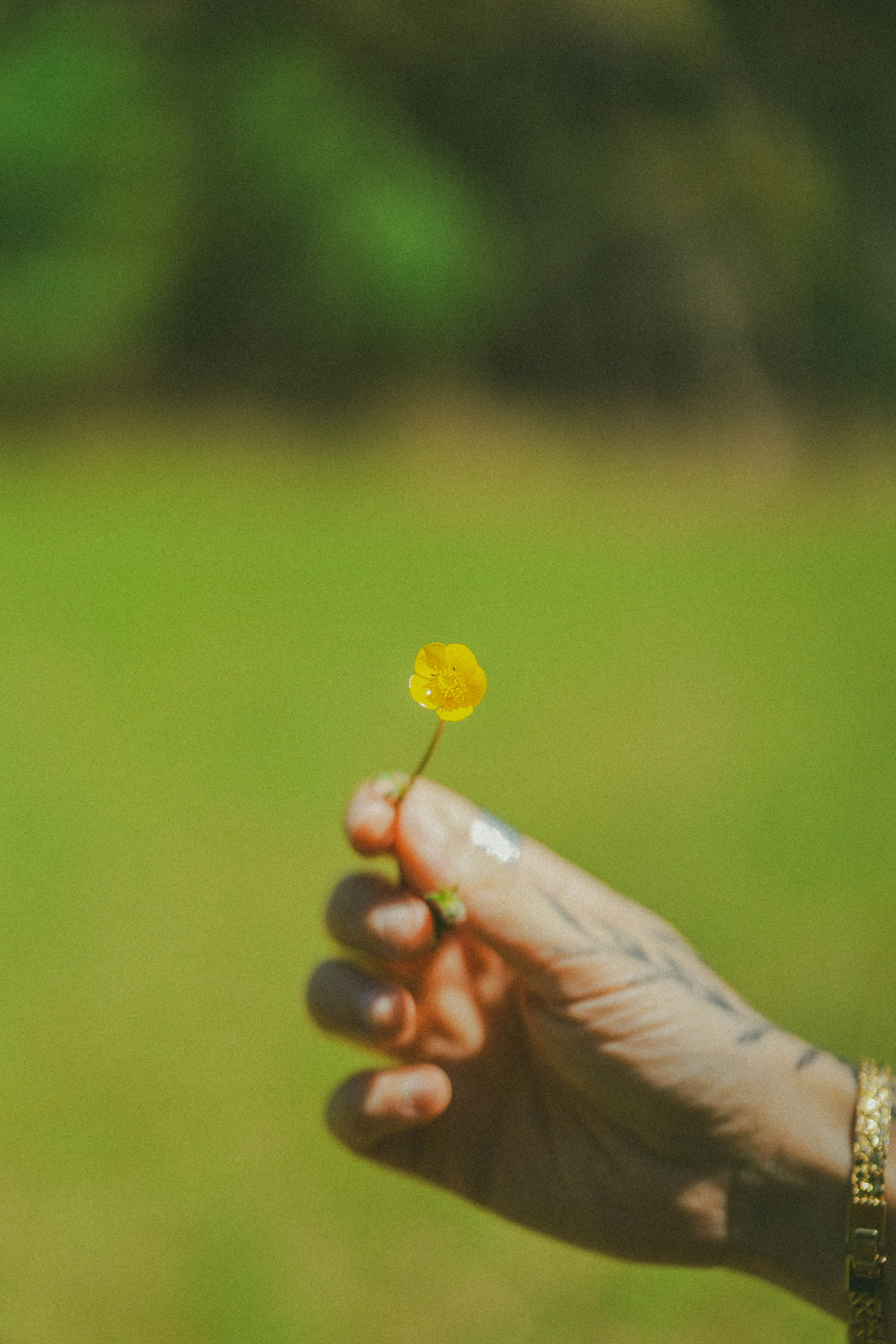 Photo by brookebalentine