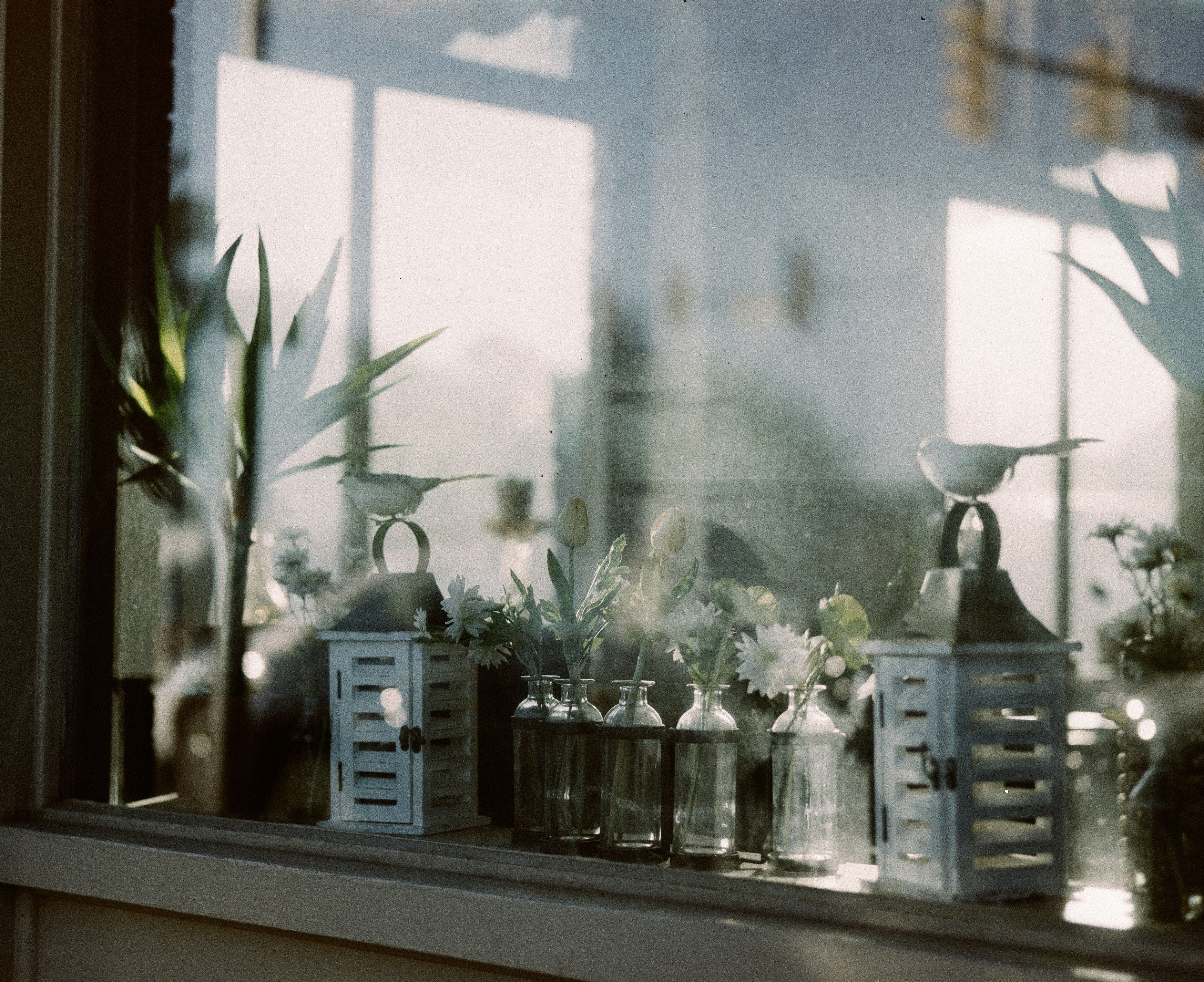 Photo by brookebalentine