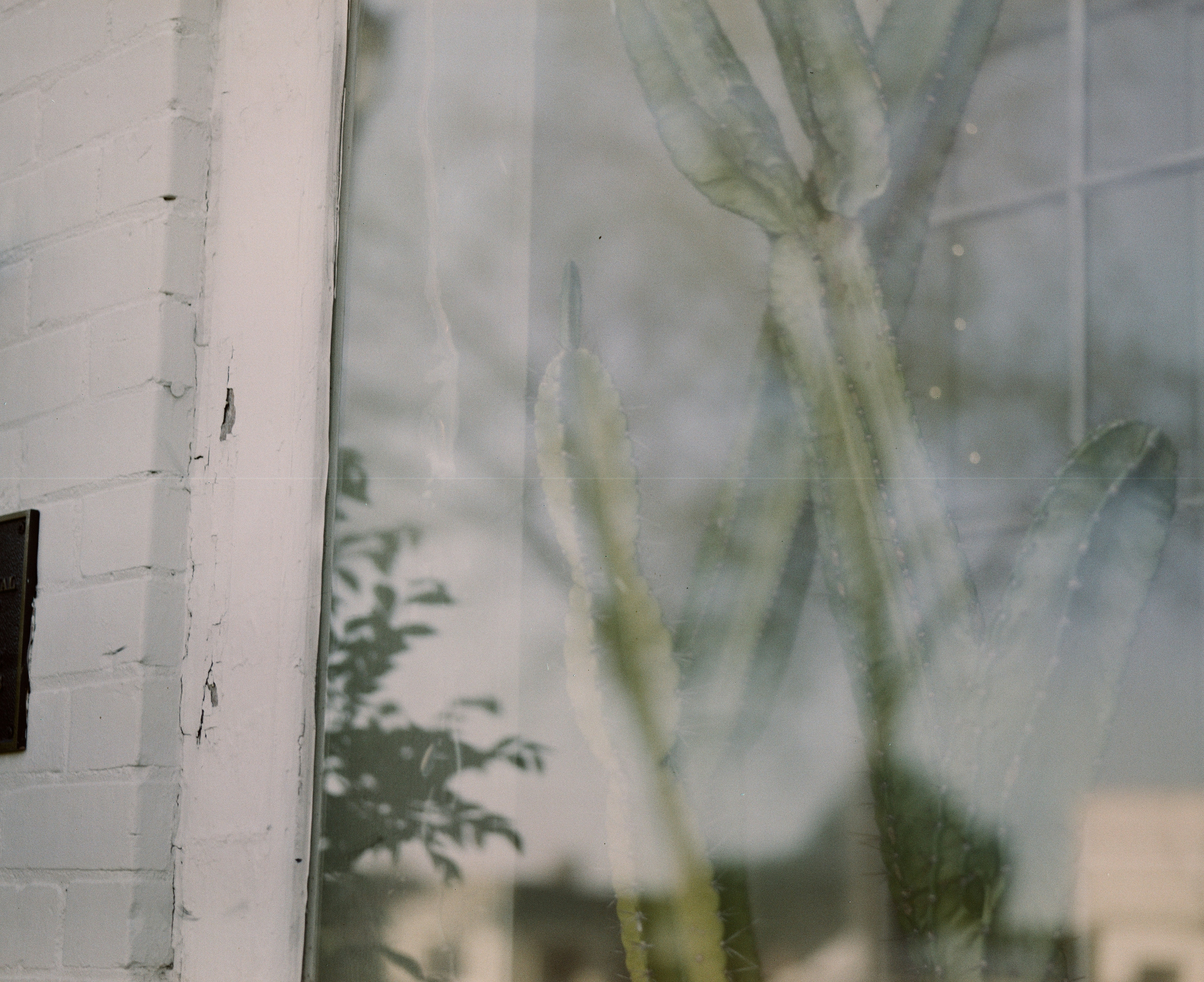 Photo by brookebalentine