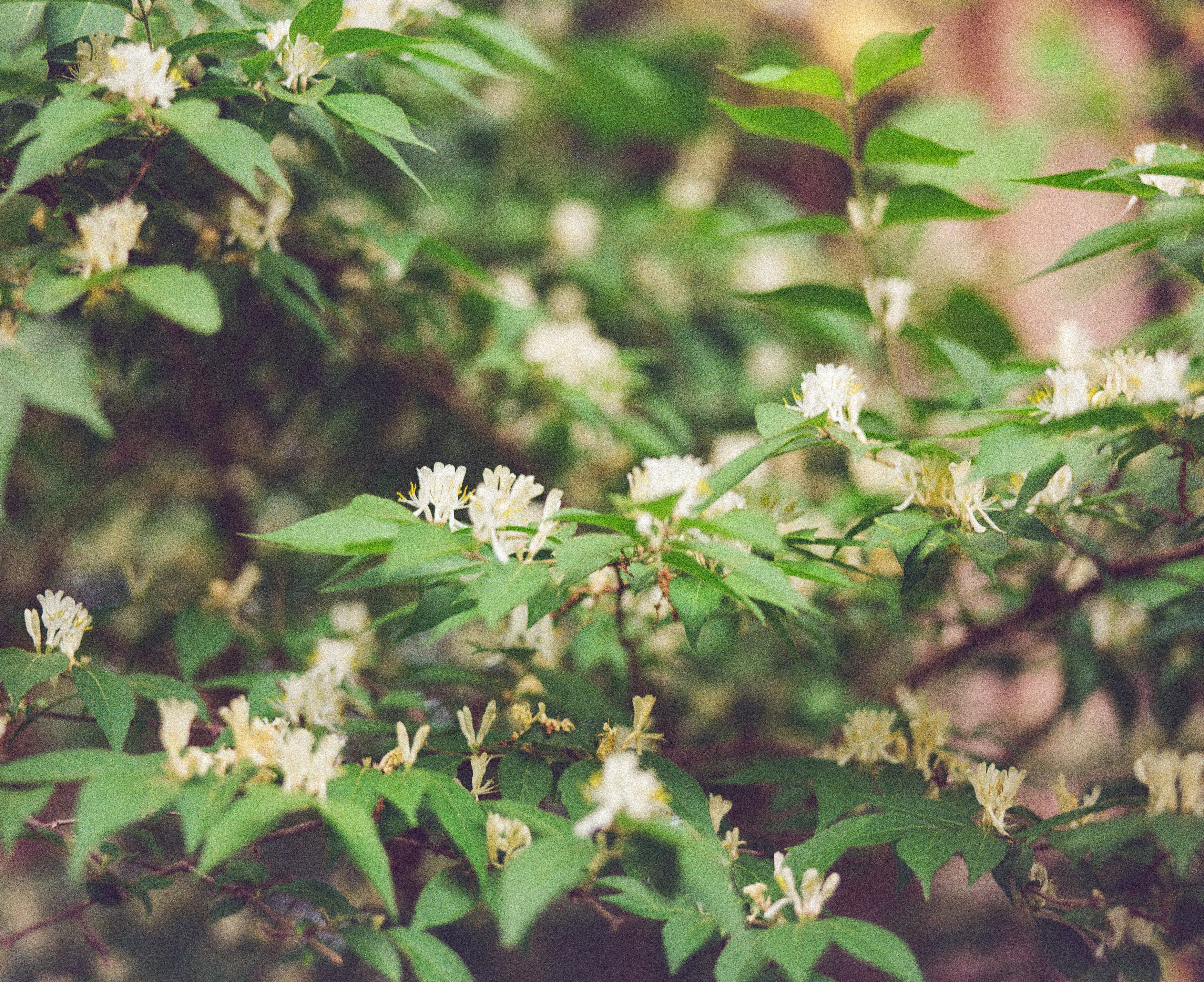 Photo by brookebalentine