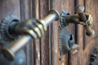 Decorative door handles shaped like hands