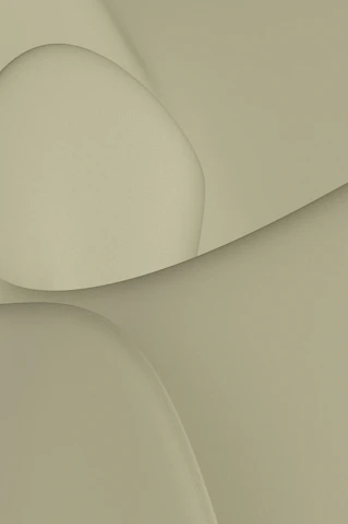 Abstract background of flowing, curved shapes.