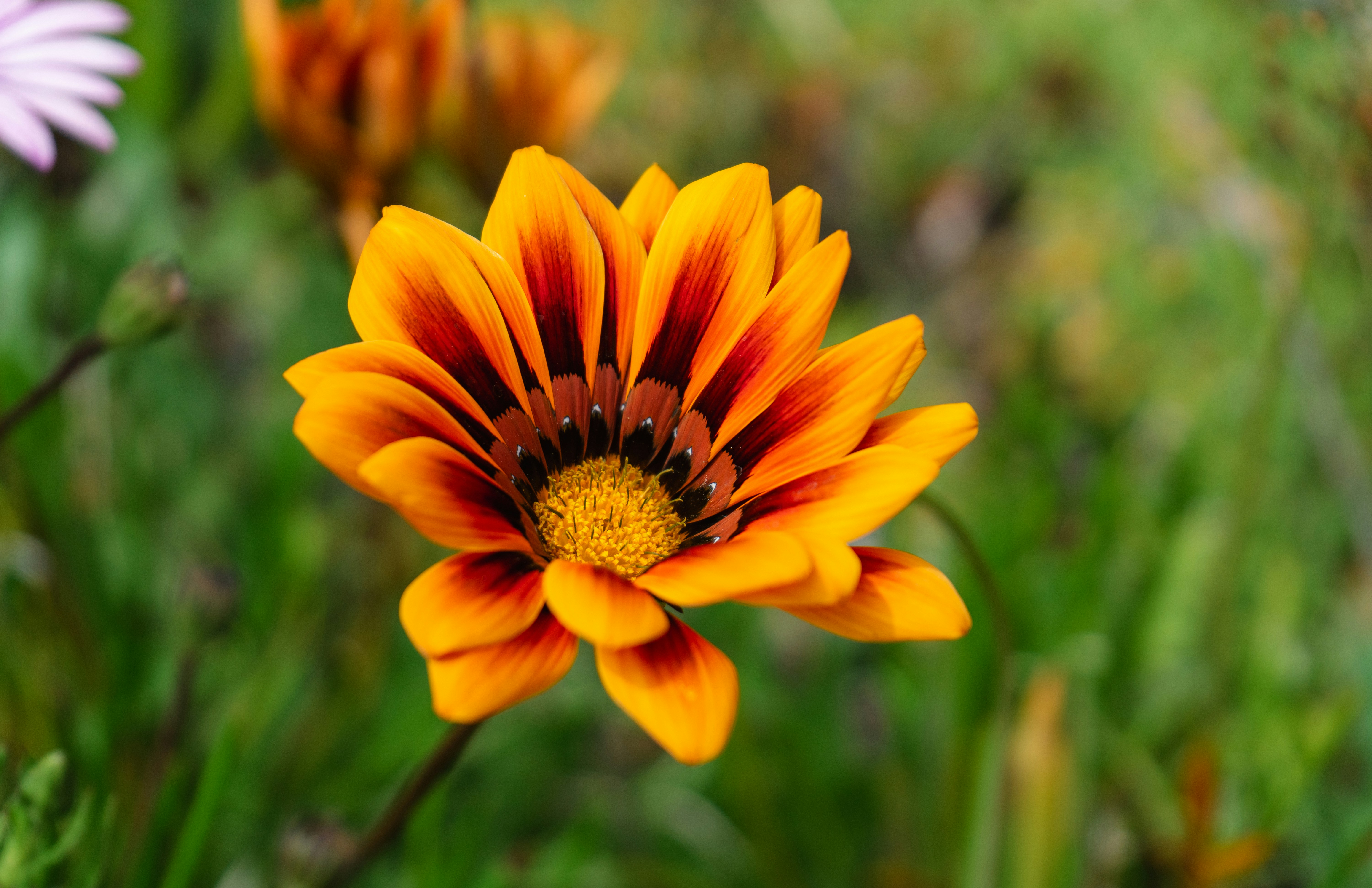 Photo by kellyphotosx