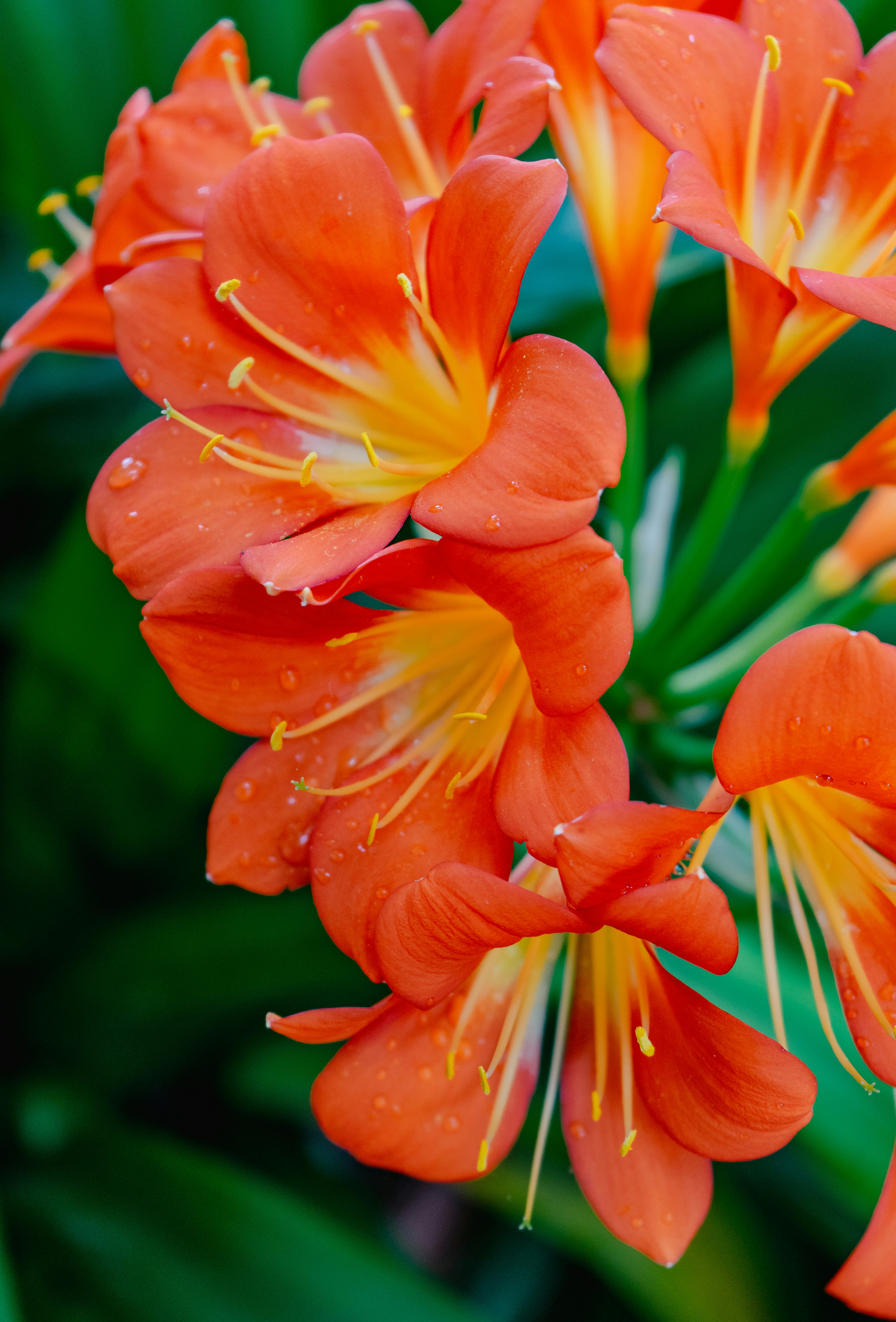 Photo by kellyphotosx