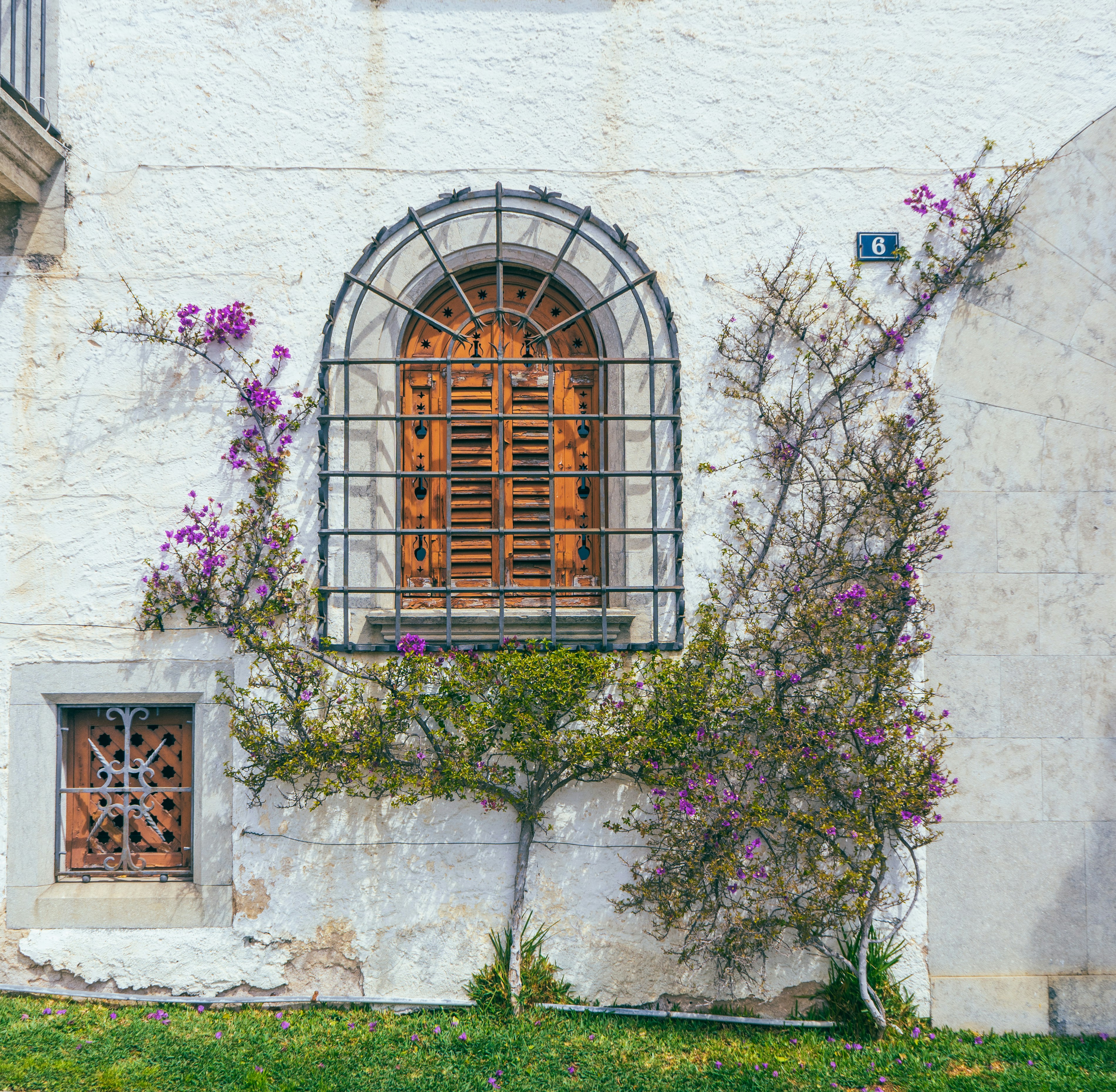 Photo by kellyphotosx