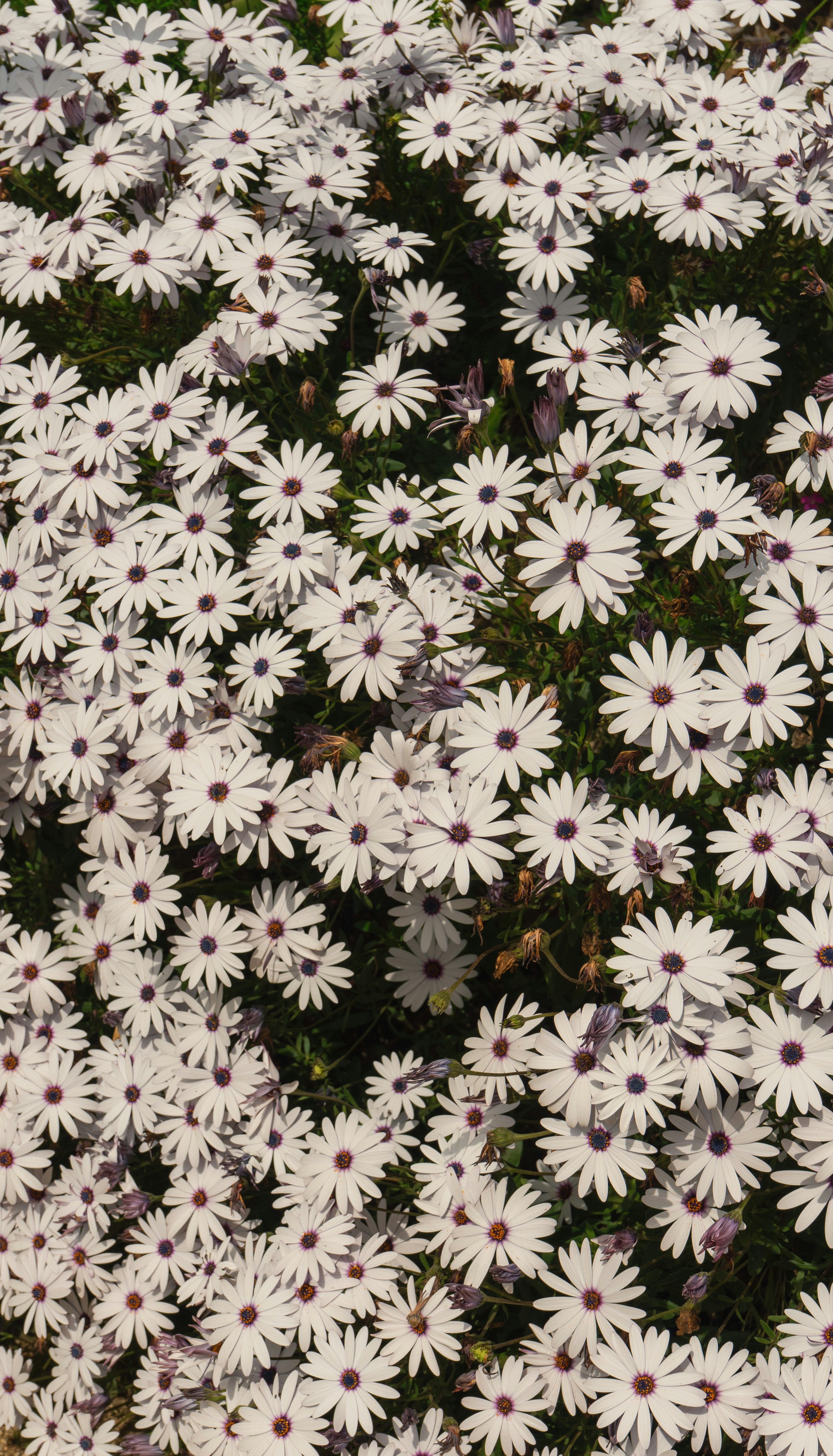 Photo by kellyphotosx