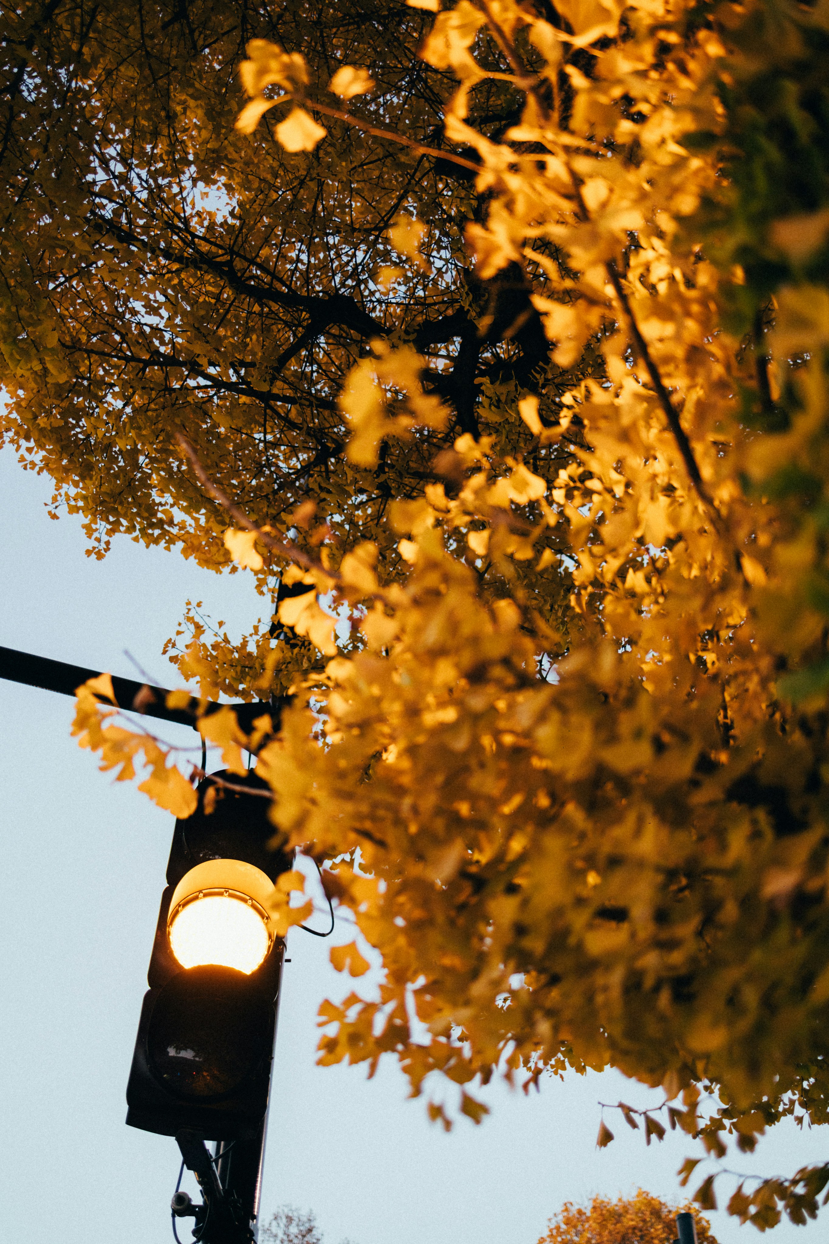 Photo by tsuyoshikozu