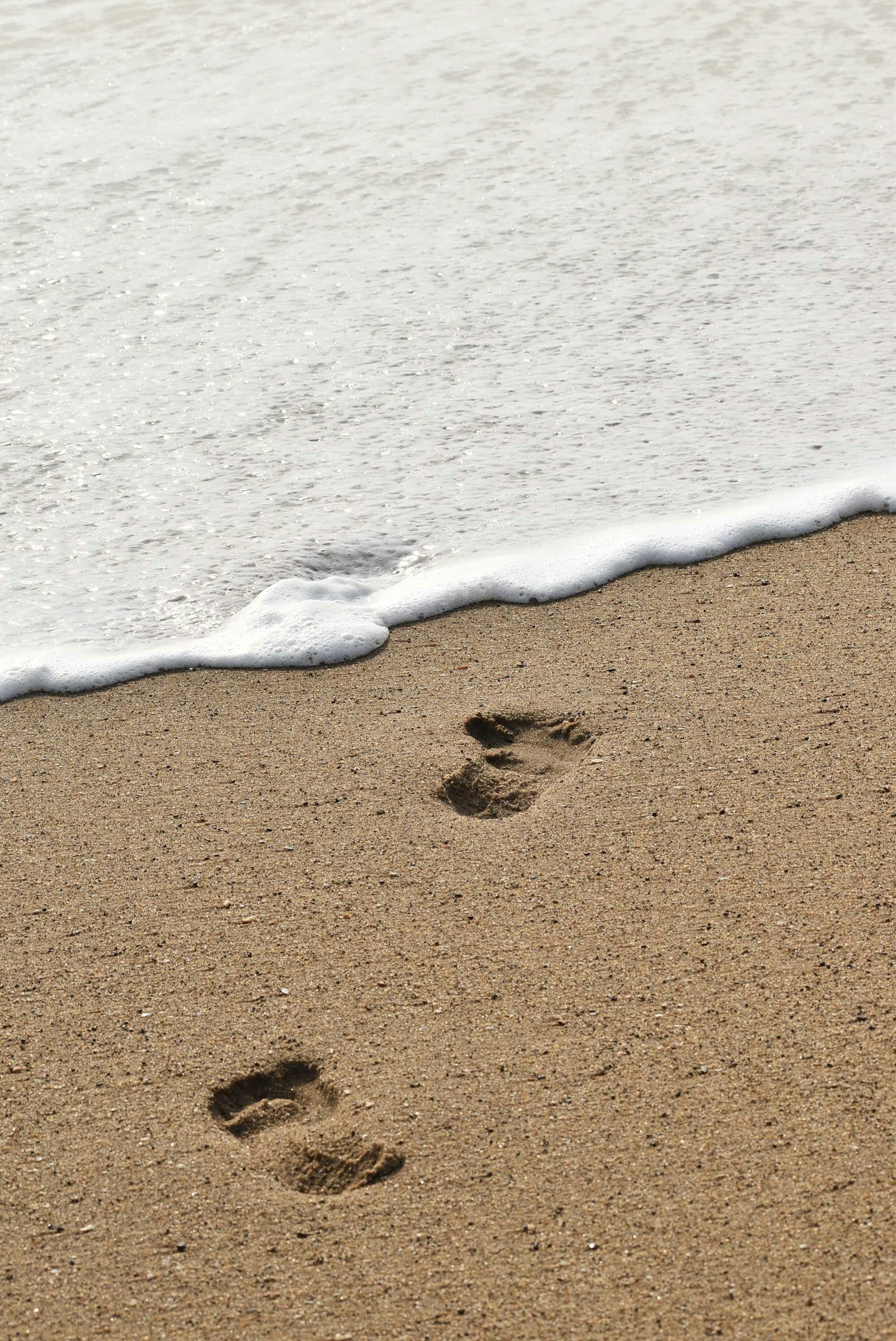 Photo by thelostsoul_witch