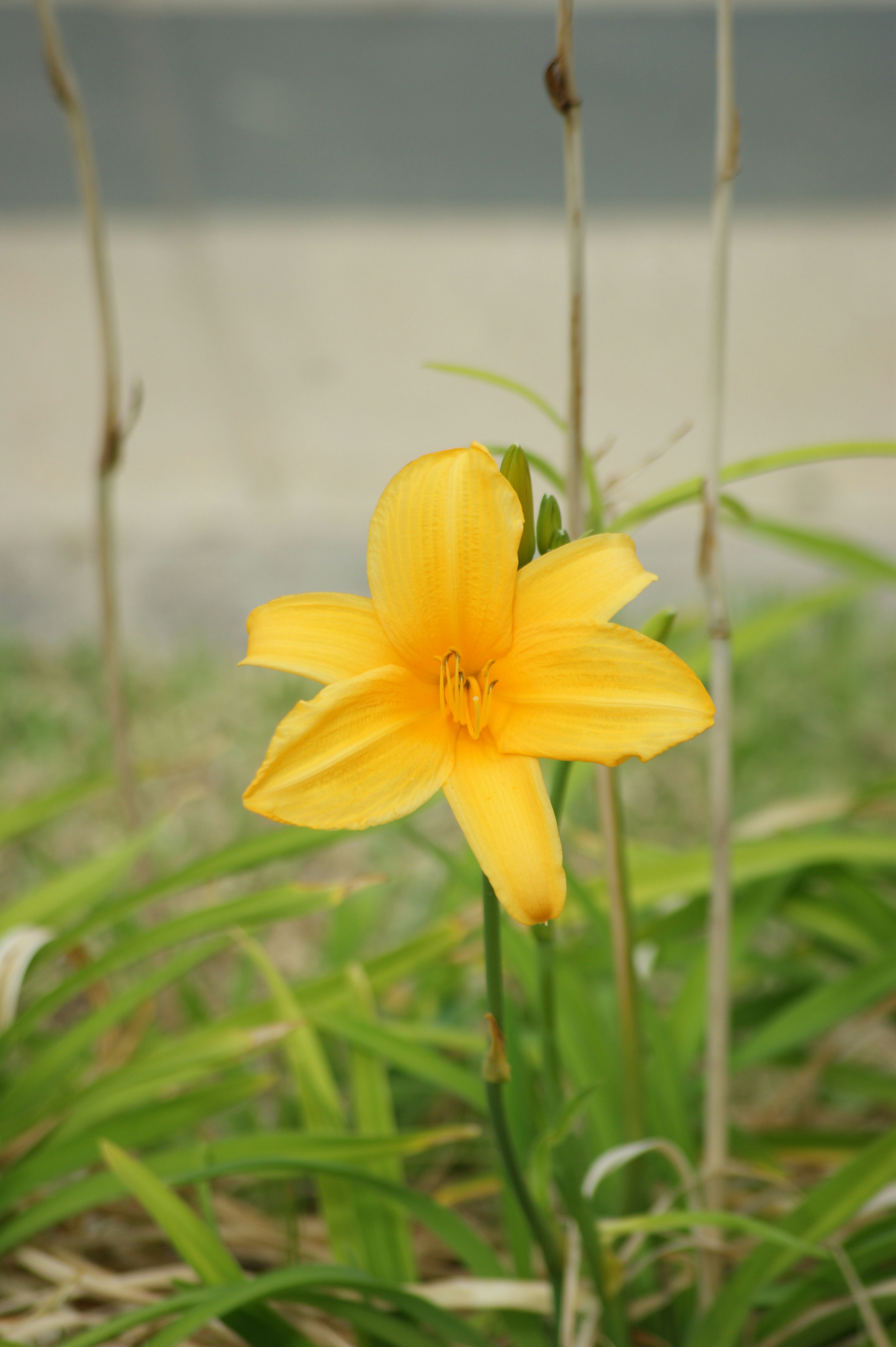 Photo by thatha_007