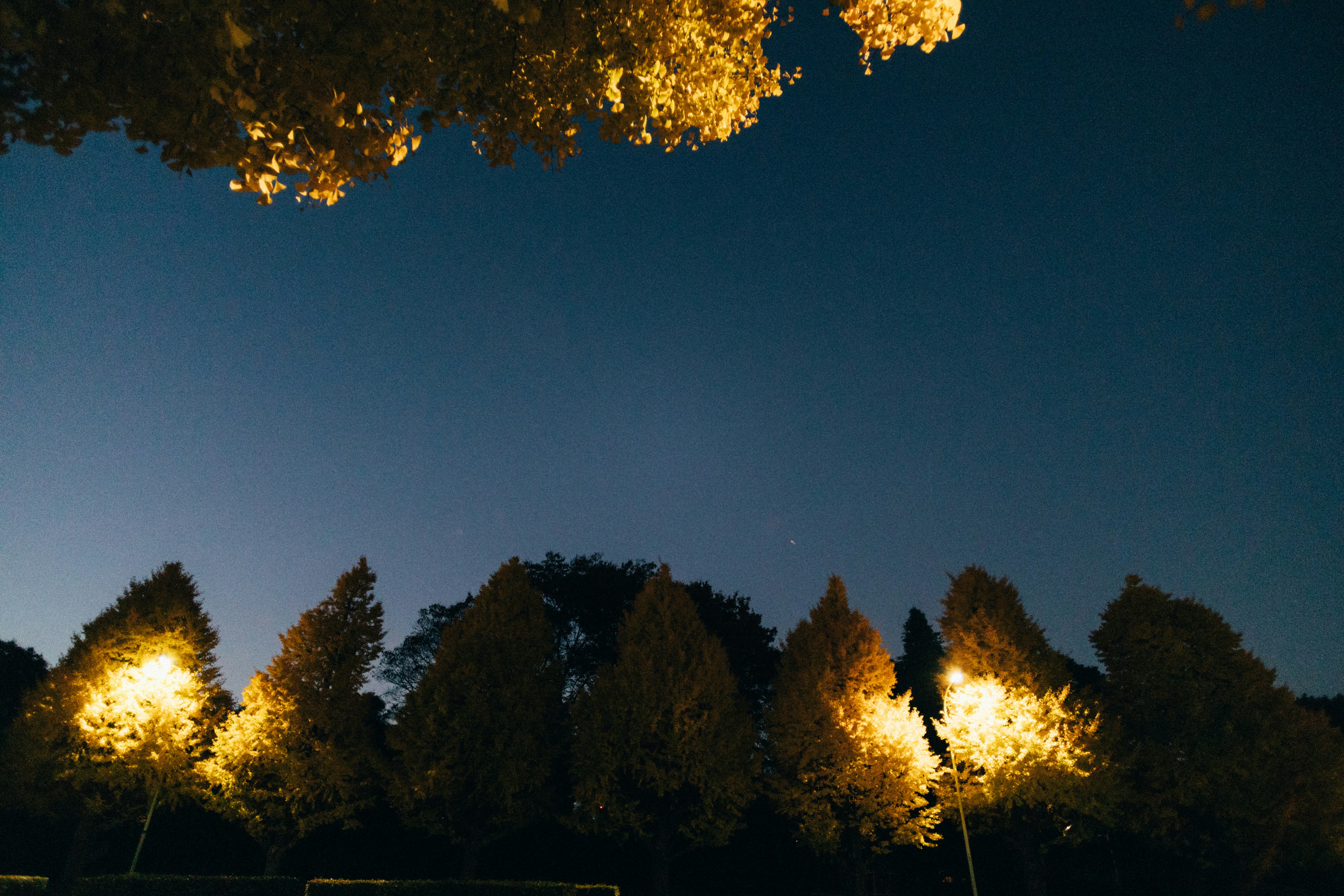 Photo by tsuyoshikozu