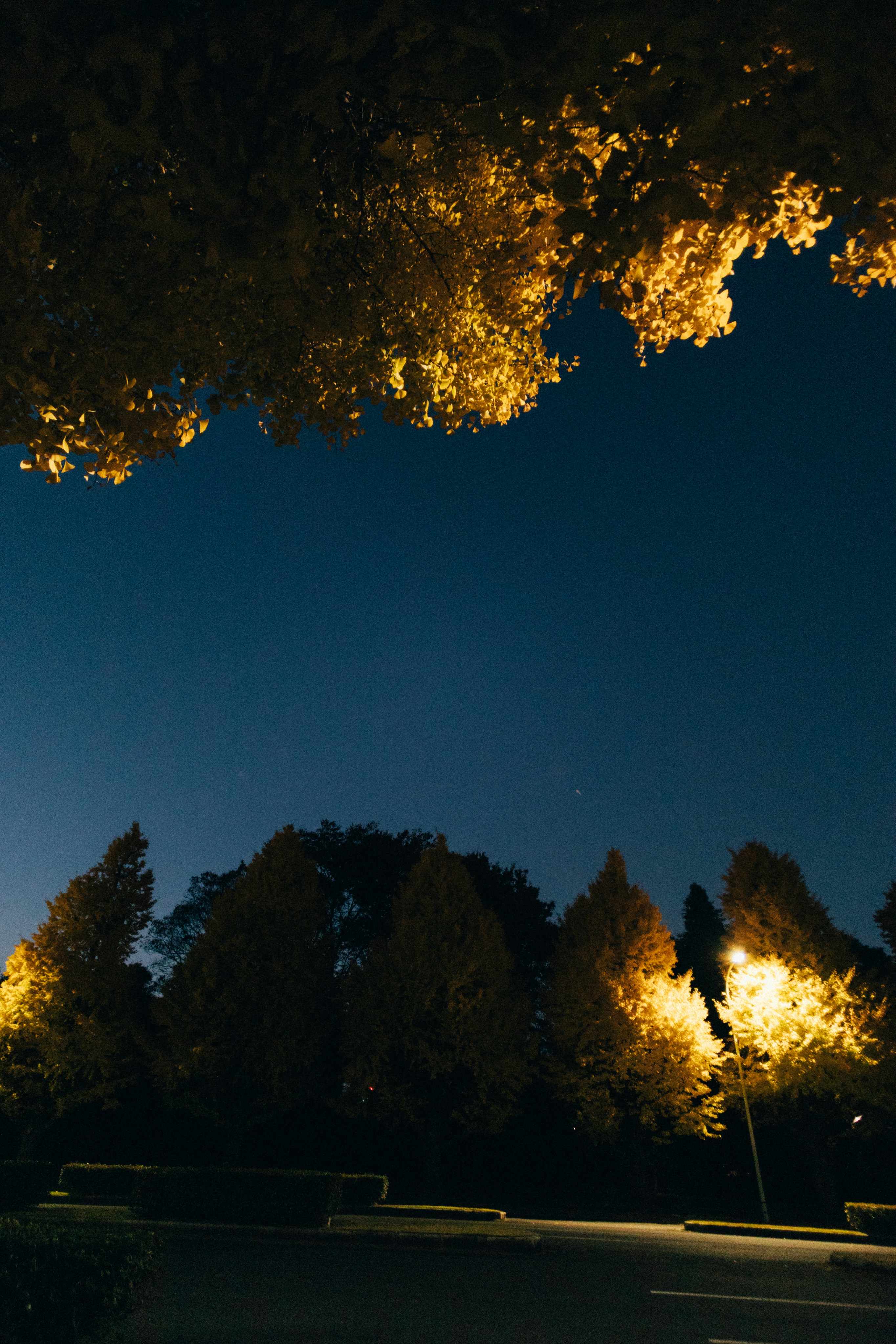 Photo by tsuyoshikozu