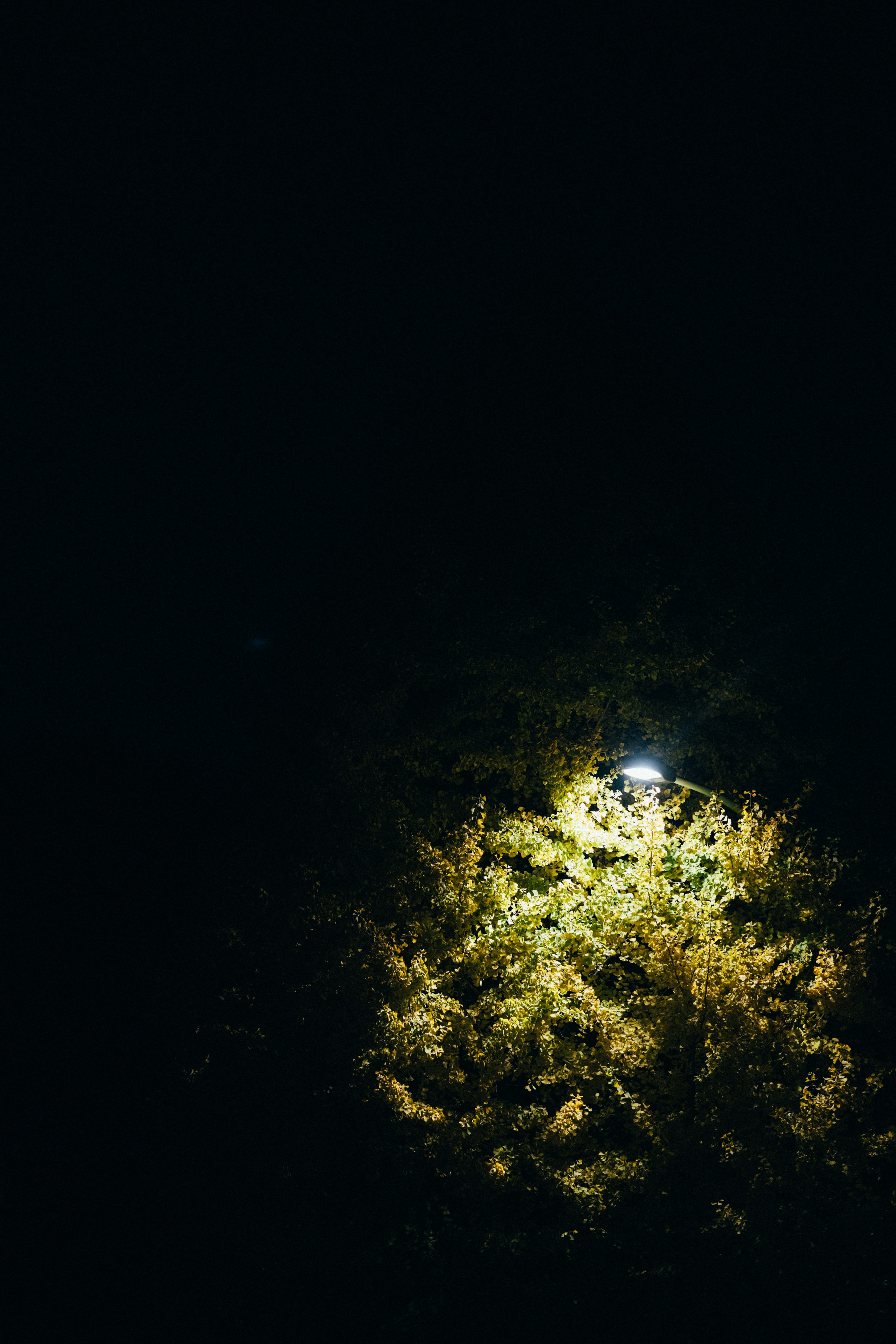 Photo by tsuyoshikozu