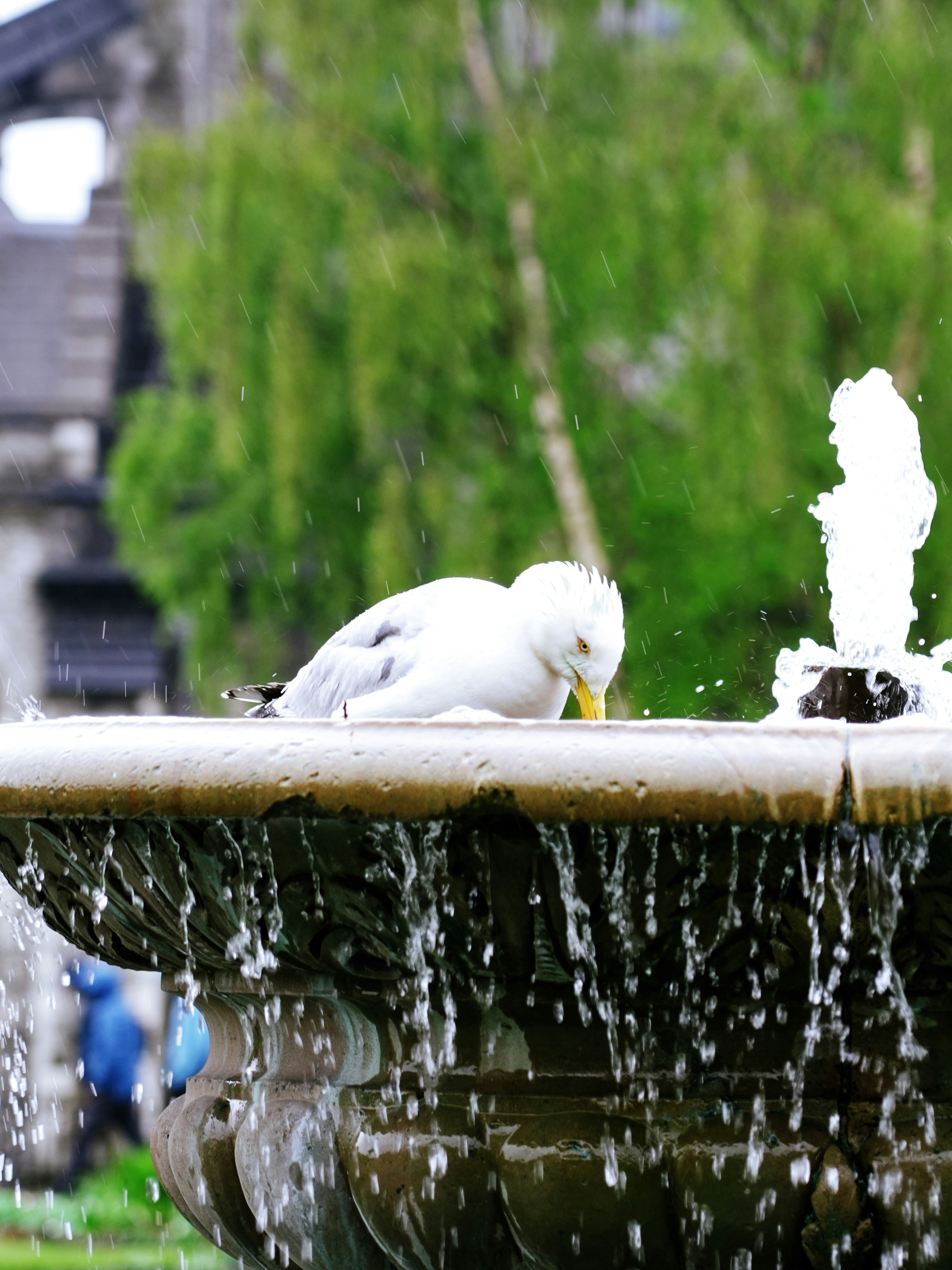 Ein veröffentlichtes Foto