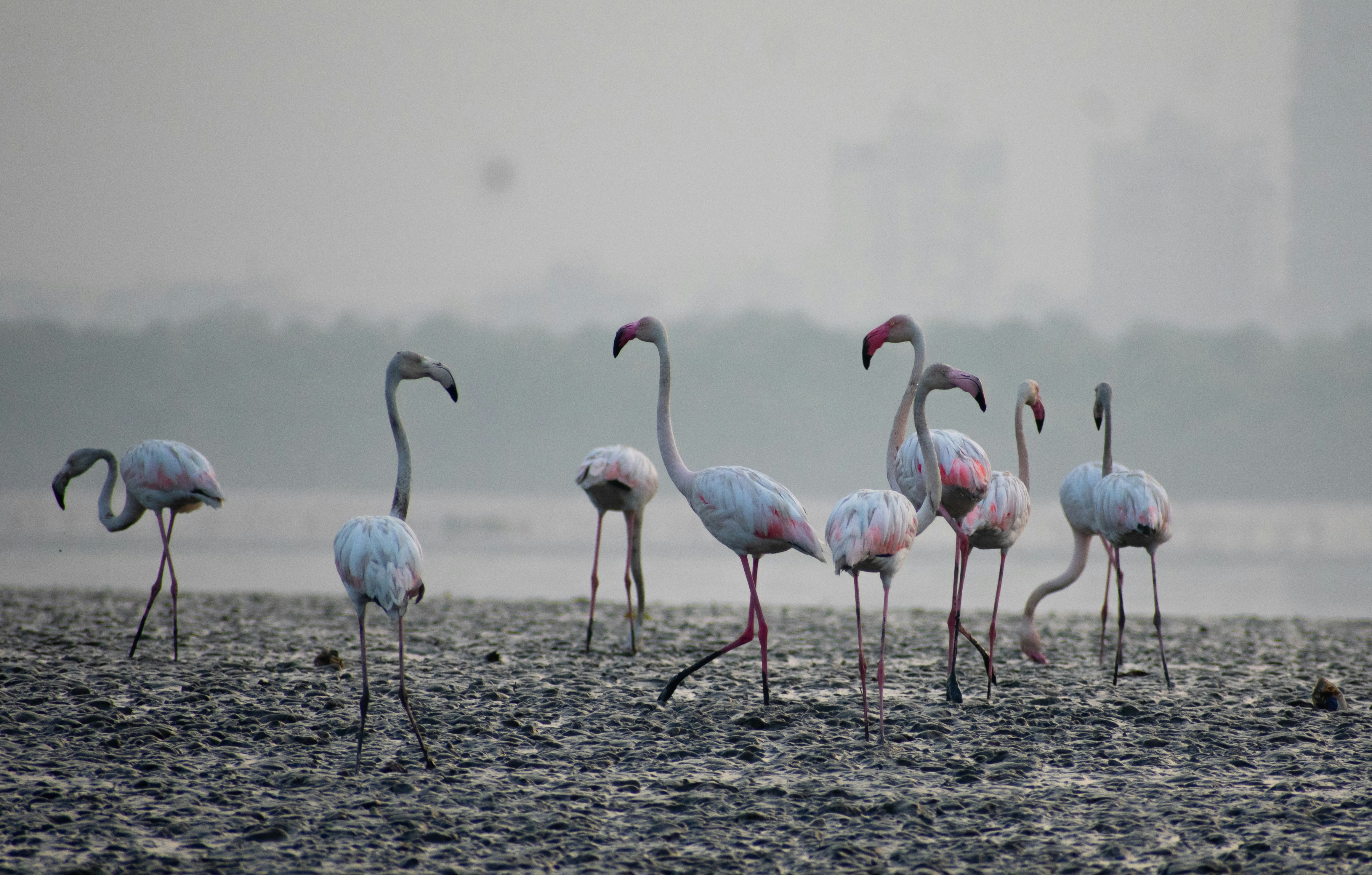 Photo by shoummosengupta