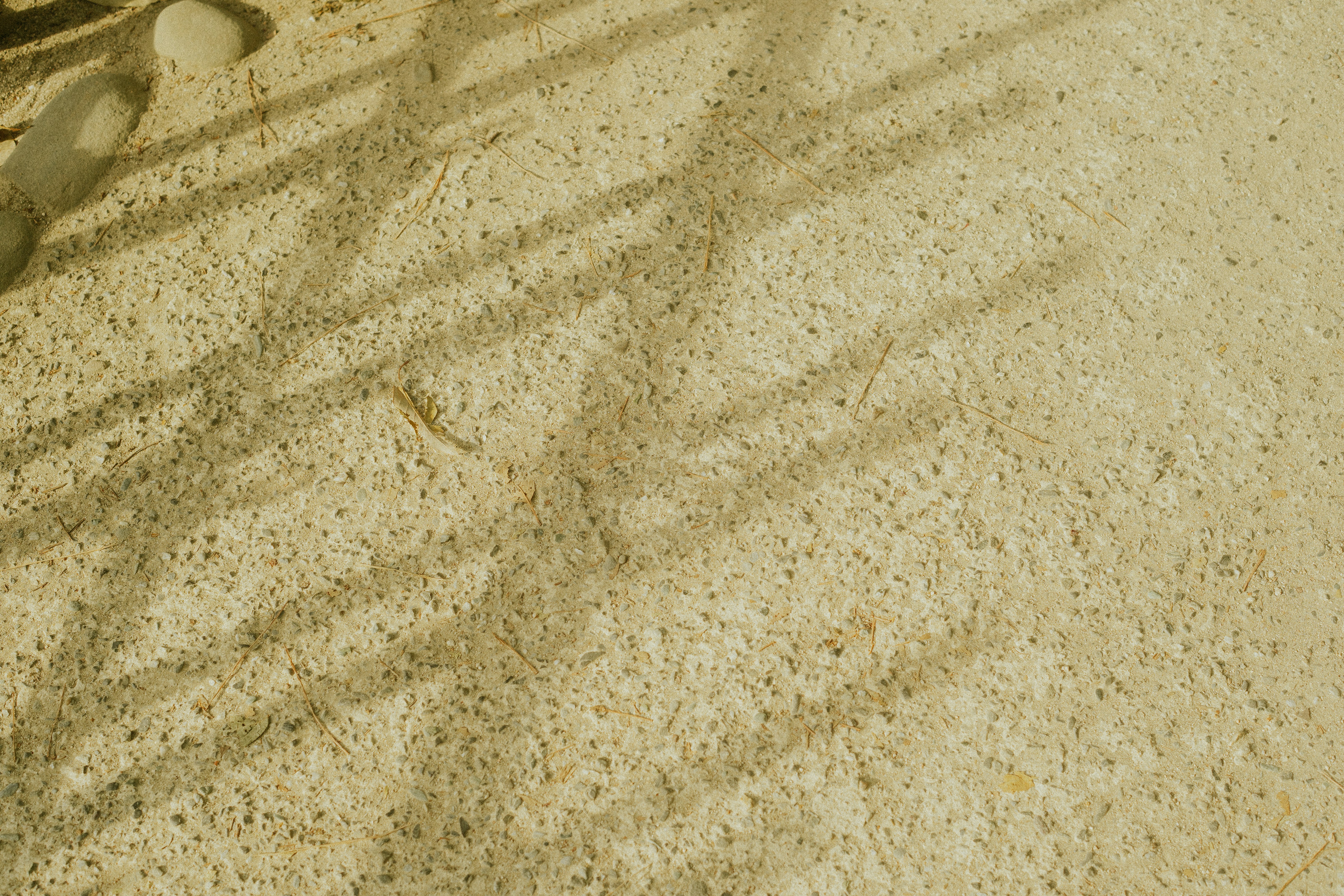 photo-1745067868552-6f90404f3388?ixid=M3wxMjA3fDB8MXxzZWFyY2h8MTJ8fGhpZ2hzdGFrZSUyMHN3ZWVwc3xlbnwwfHx8fDE3NjI5MTY4MTJ8MA\u0026ixlib=rb-4.1.0