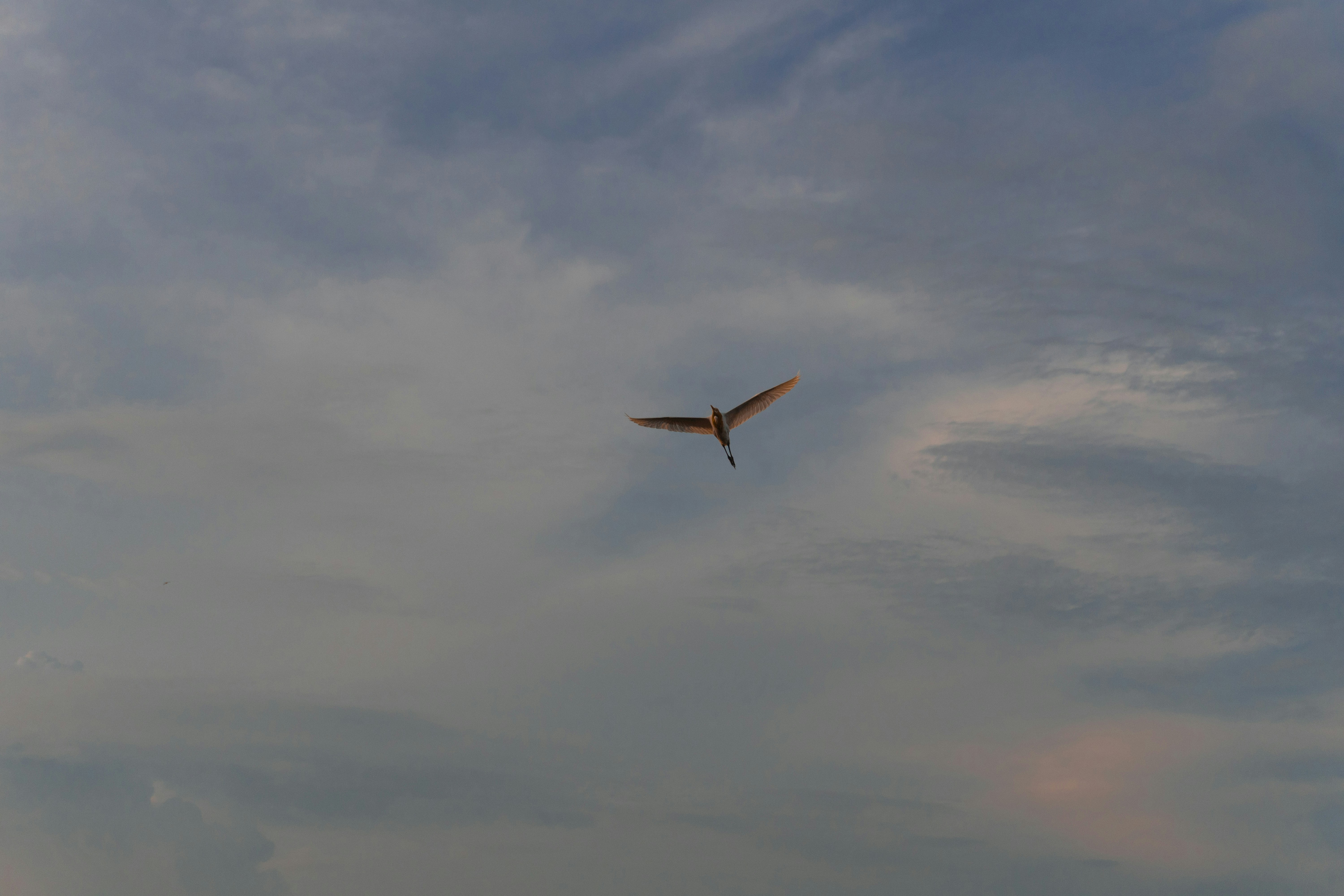 Quantum Ventura, Inc. (B-423603)