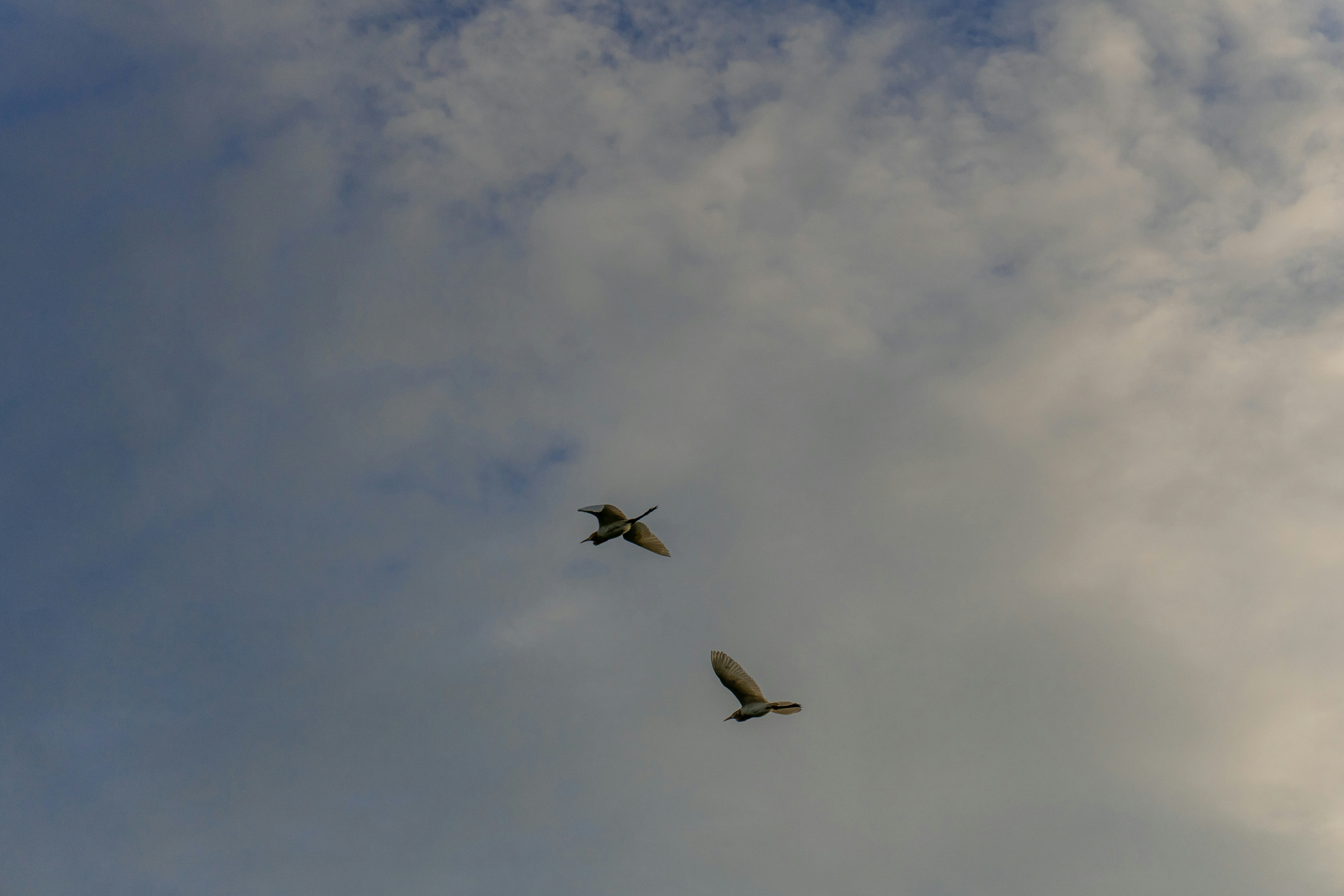 Photo by samiubashir