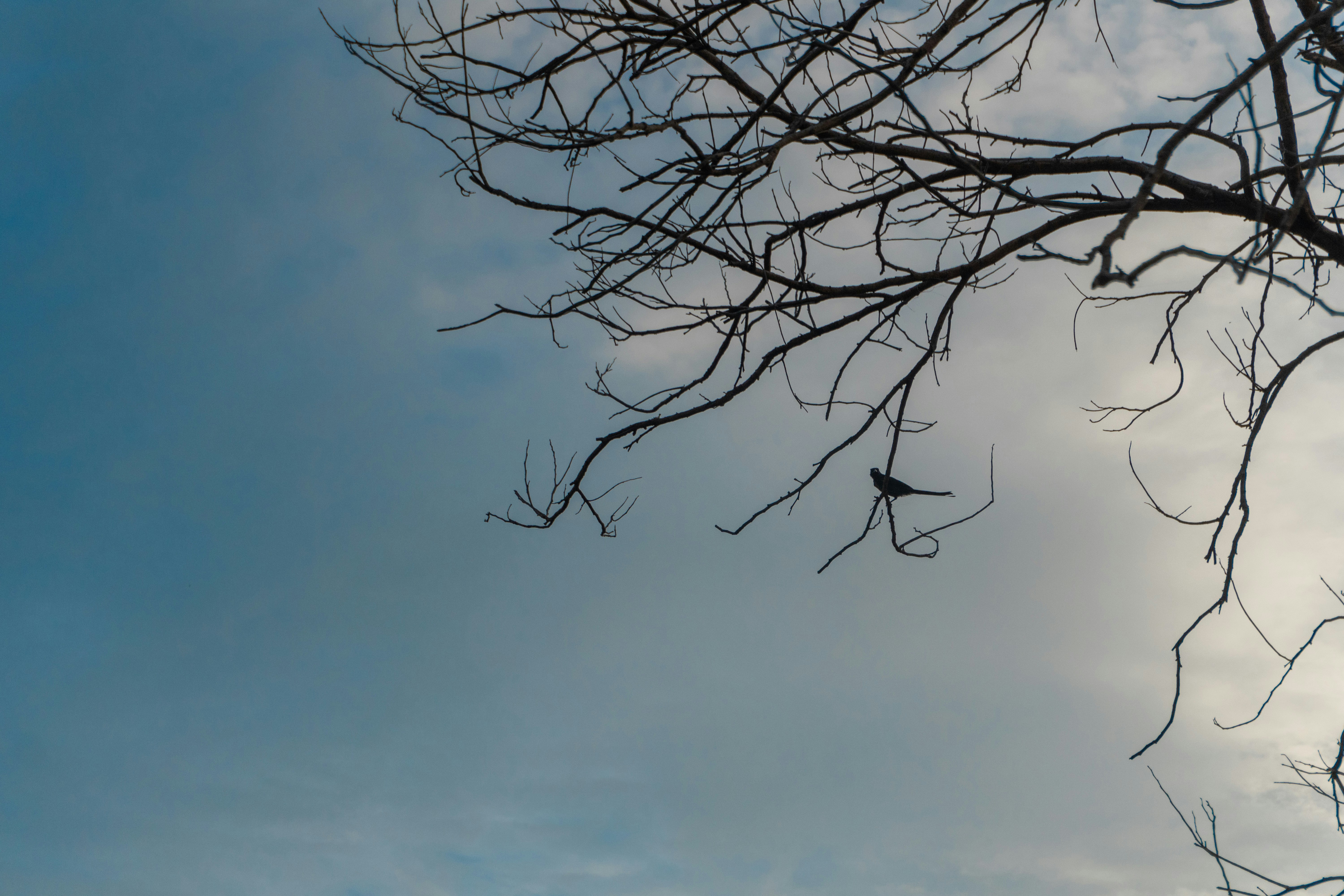 Photo by samiubashir