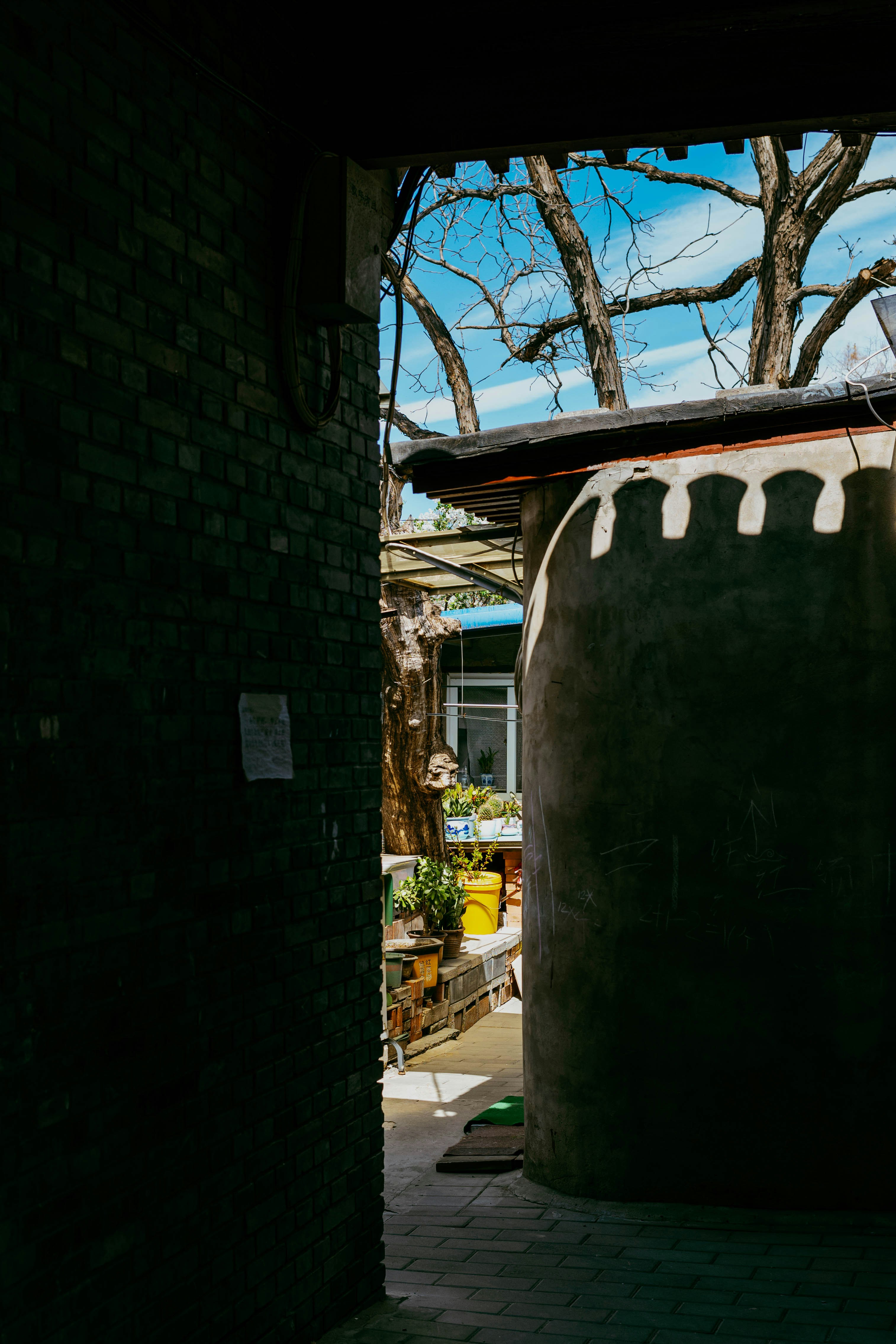 Photo by tommaomaoer