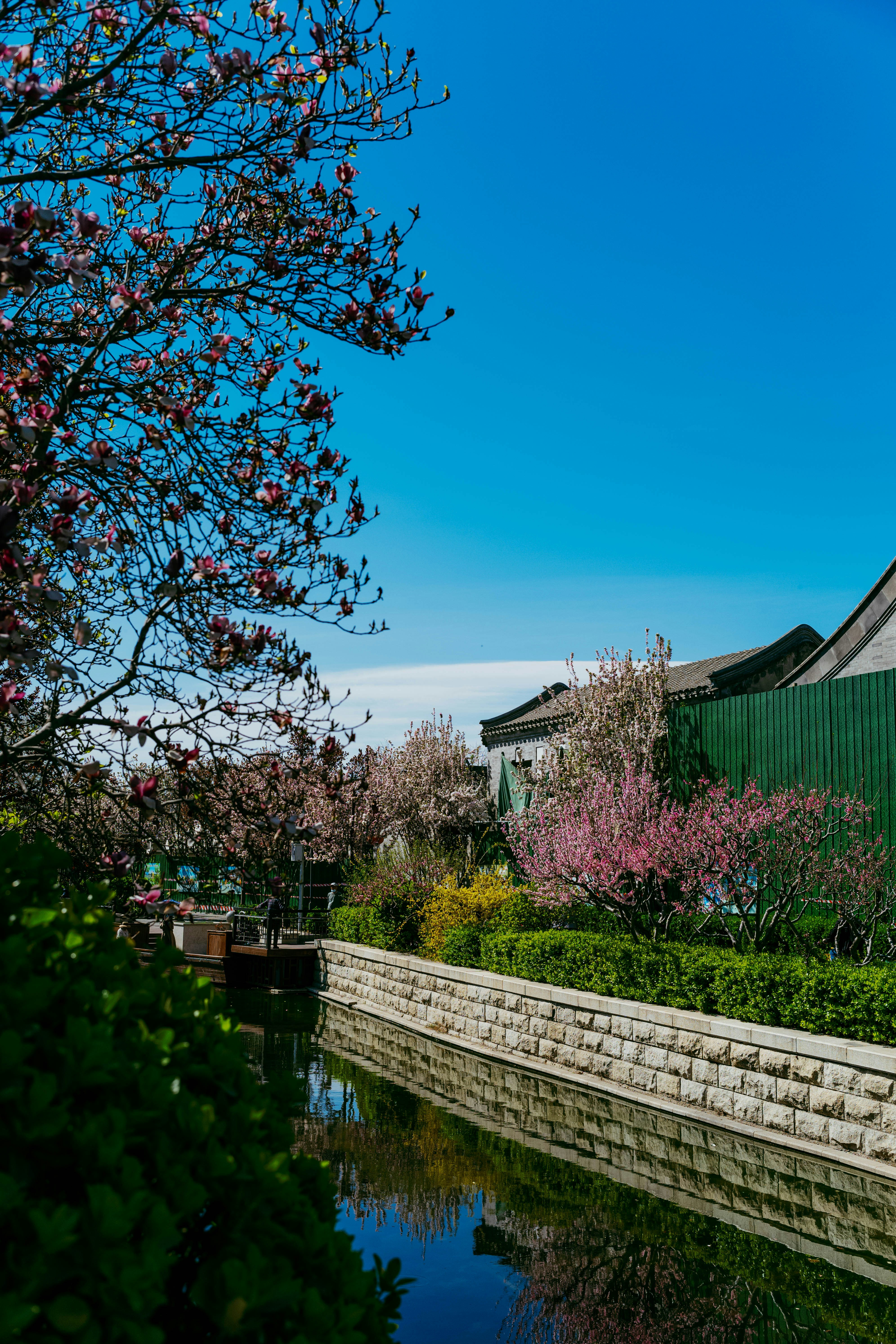 Photo by tommaomaoer