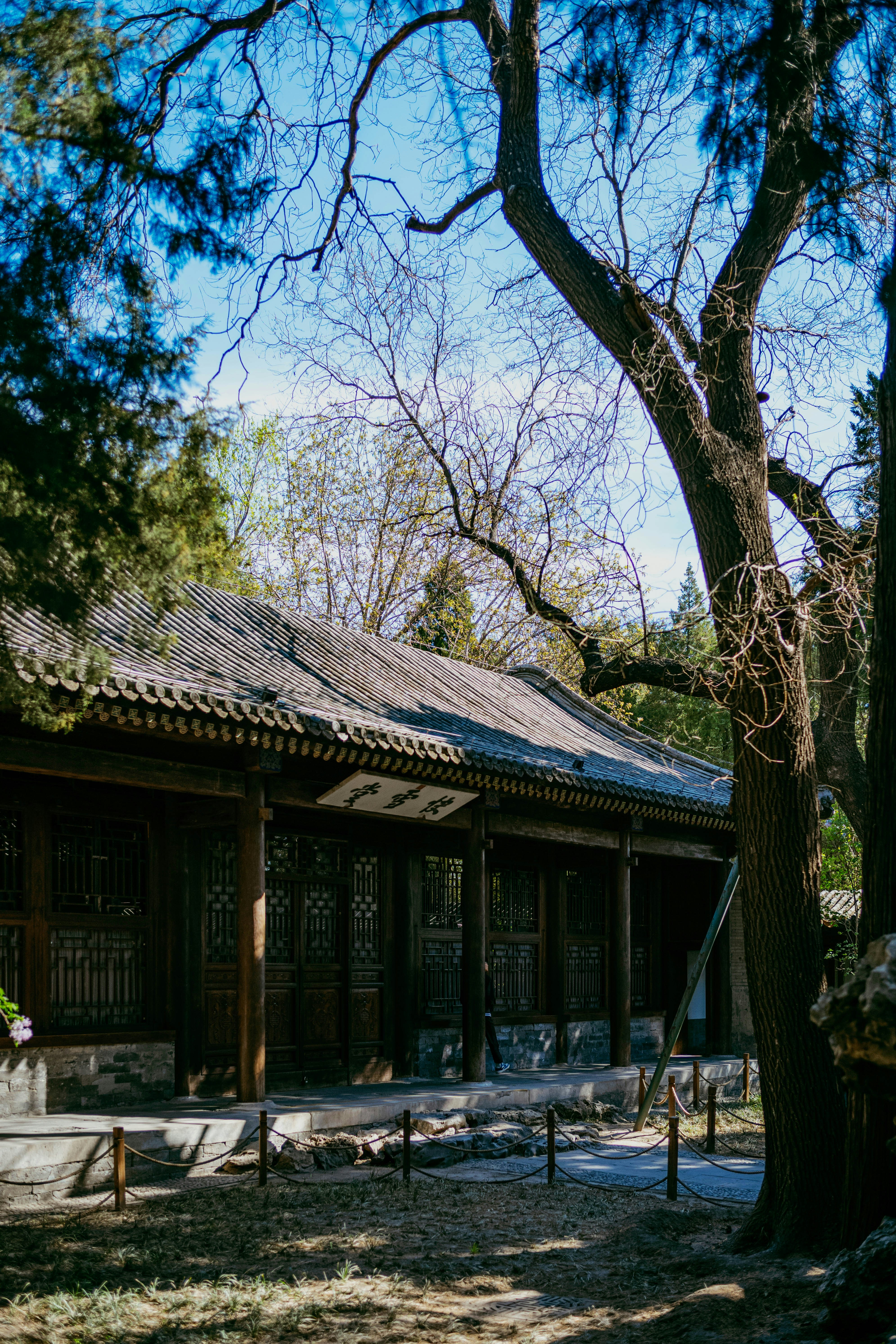 Photo by tommaomaoer