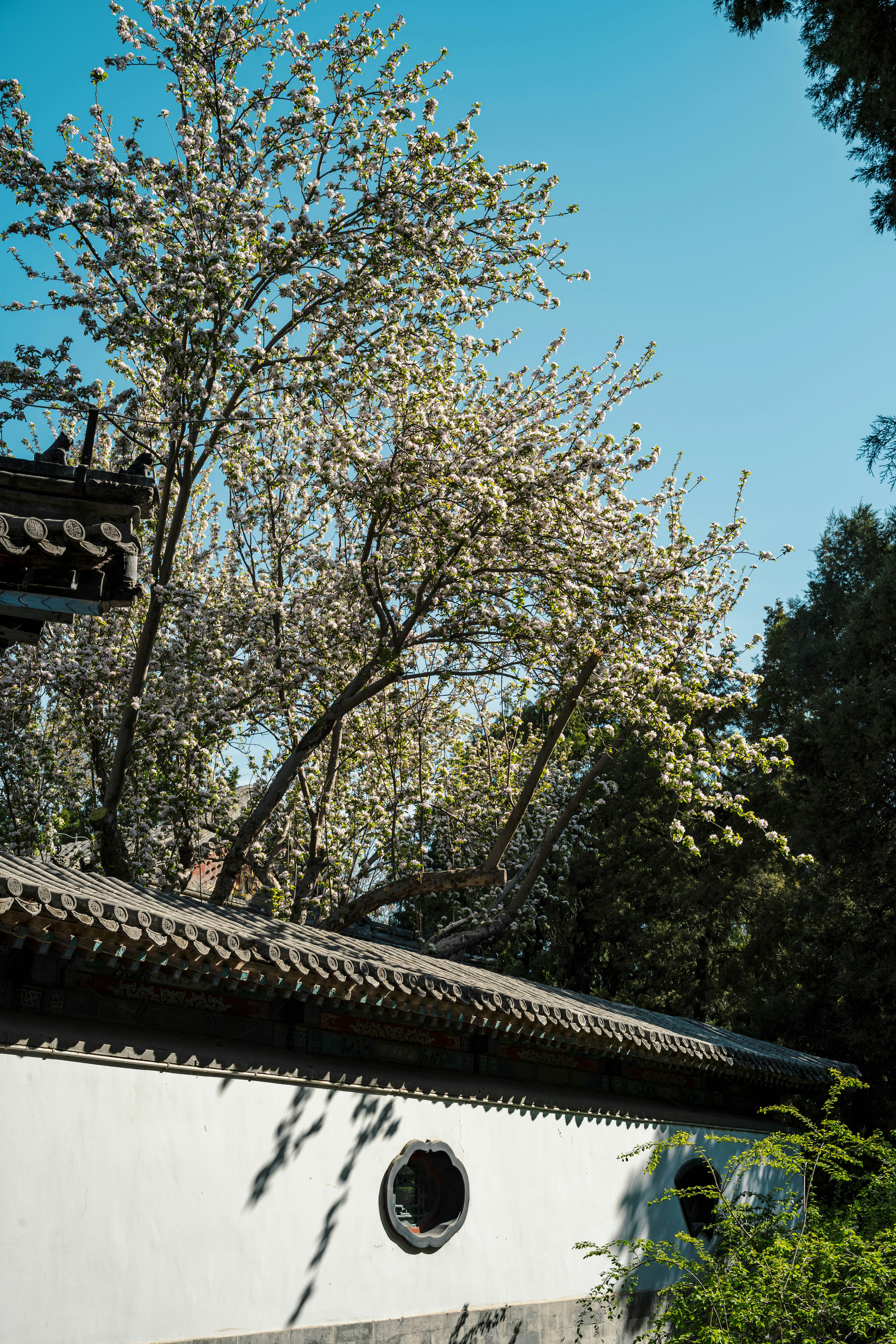 Photo by tommaomaoer