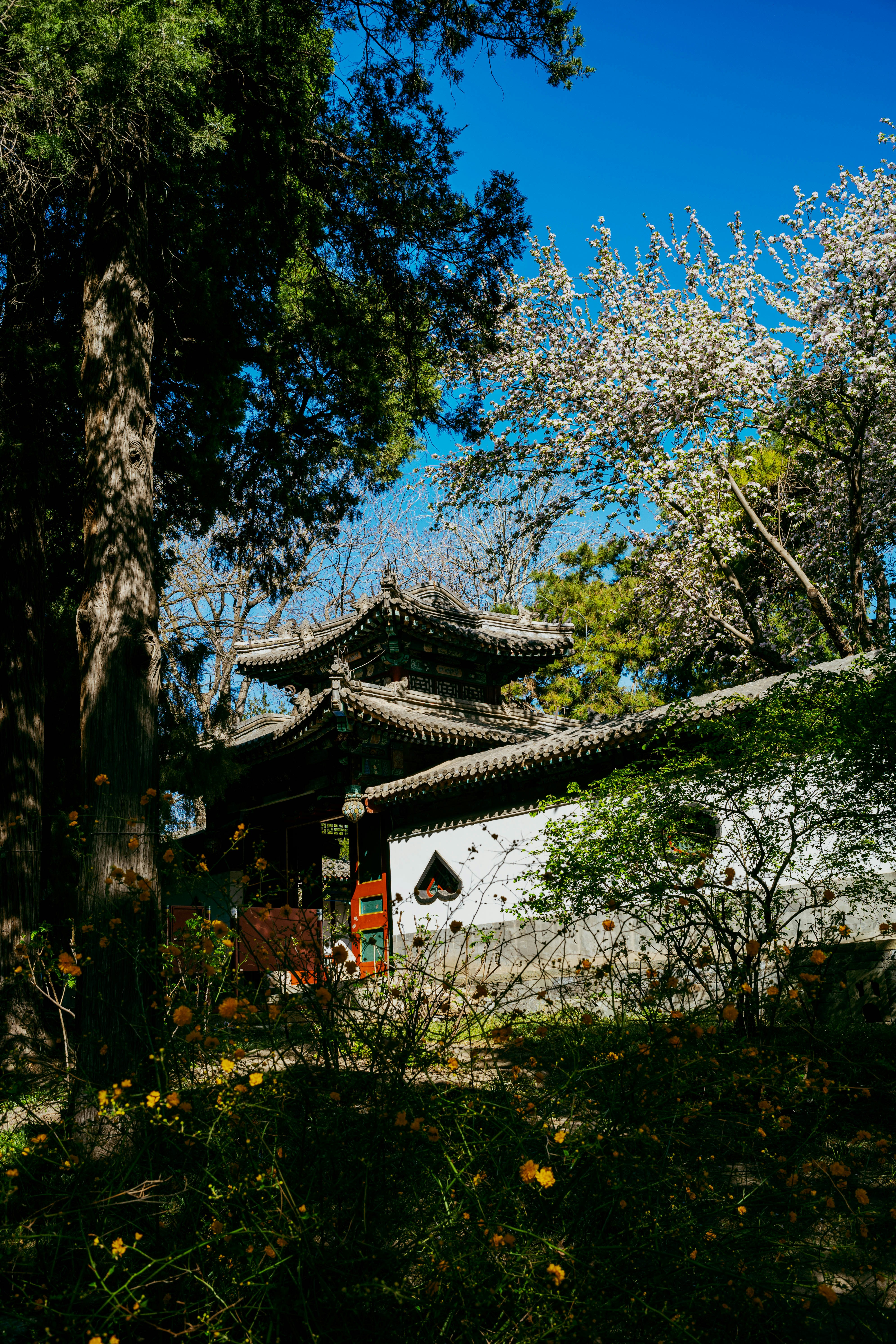 Photo by tommaomaoer