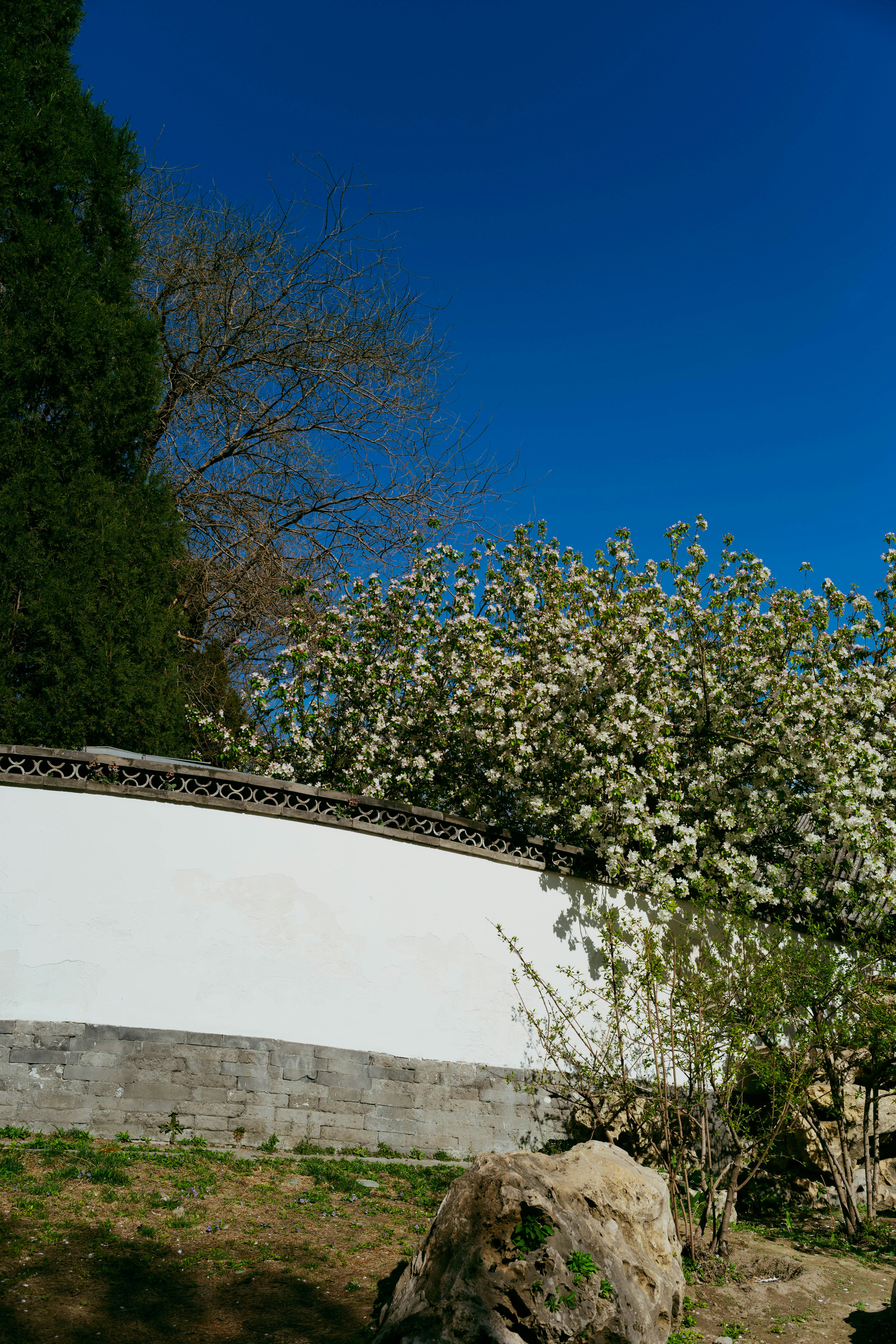 Photo by tommaomaoer