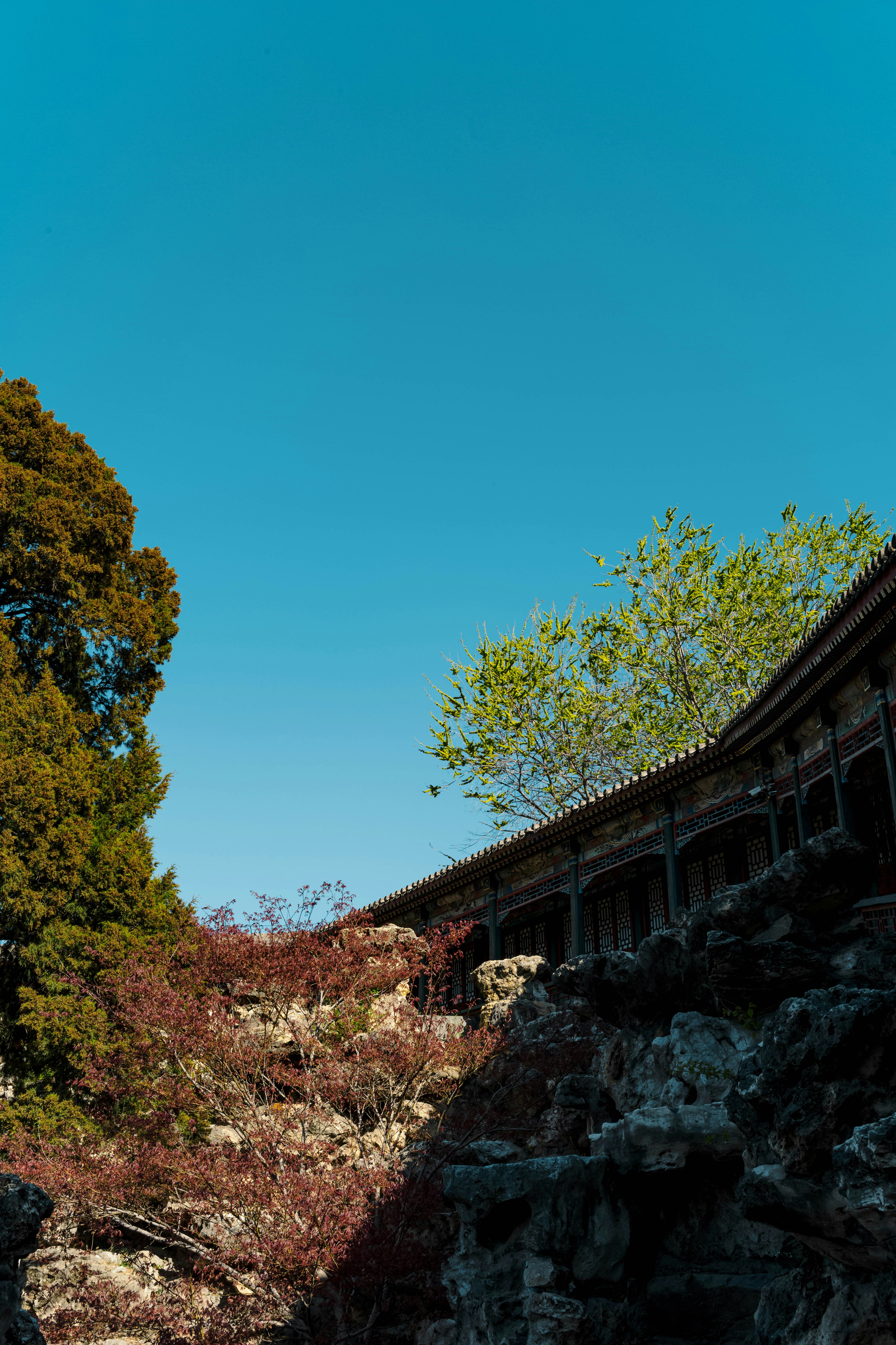 Photo by tommaomaoer