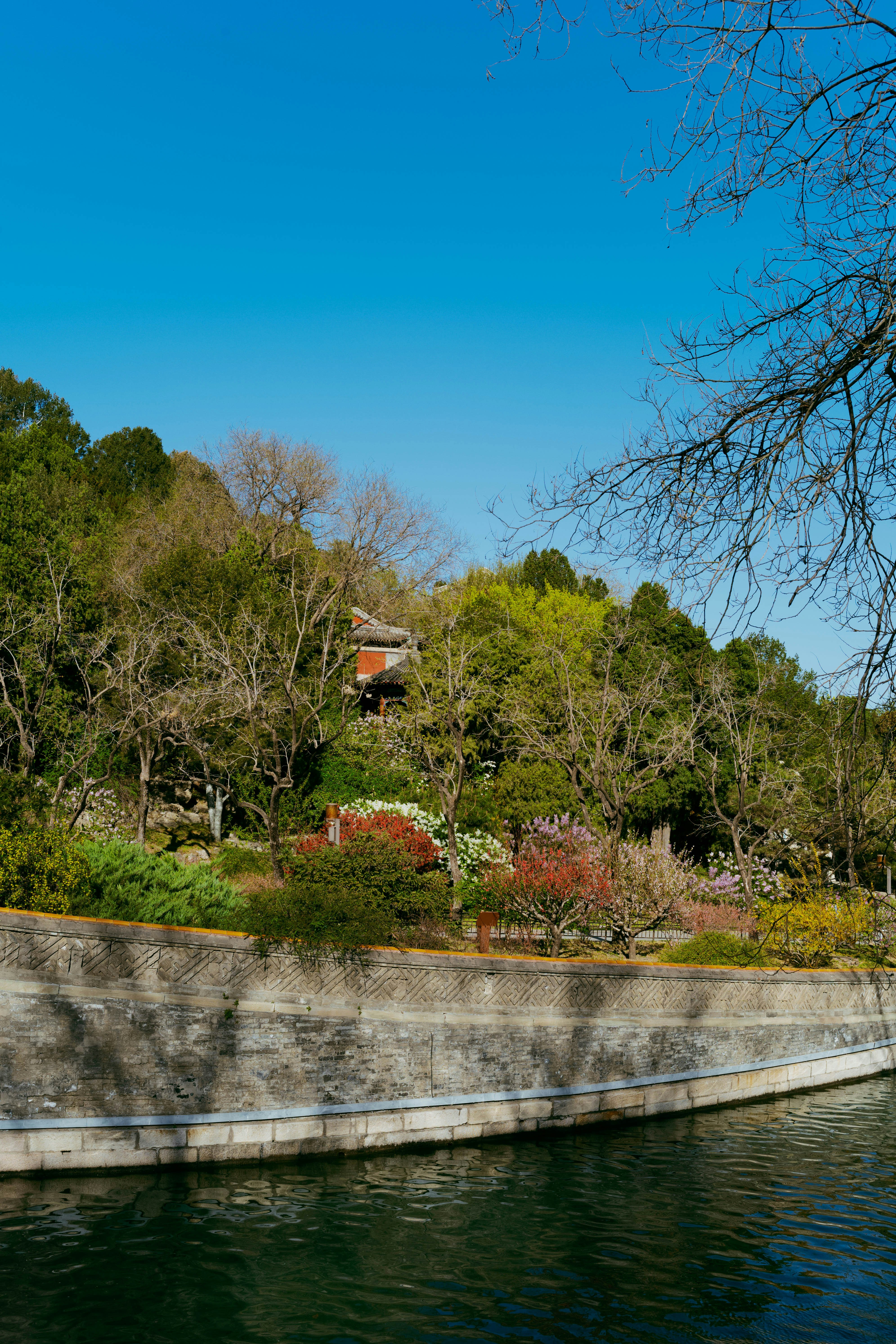 Higashiyama Zoo and Botanical Gardens photo 3