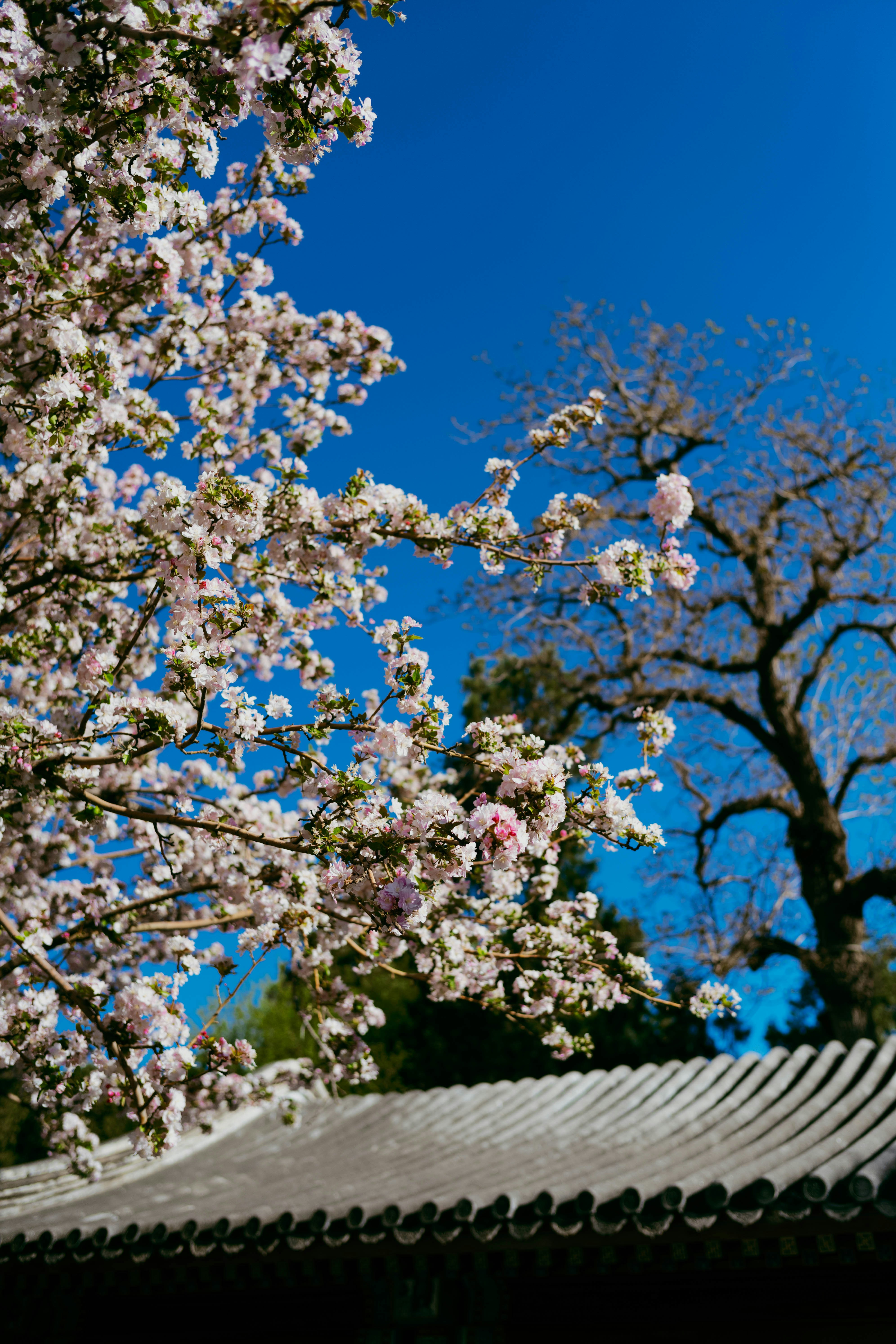 Photo by tommaomaoer