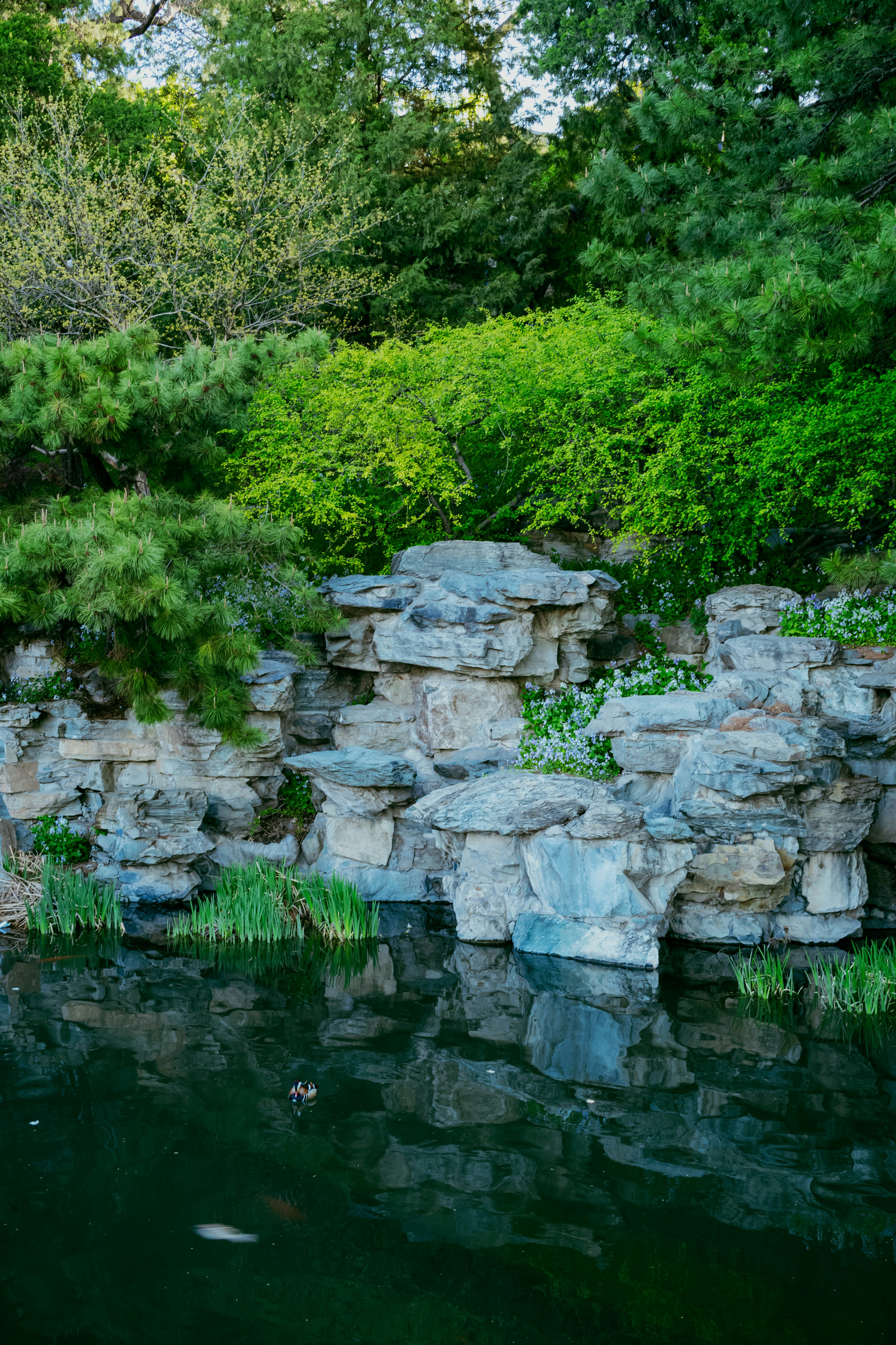 Photo by tommaomaoer