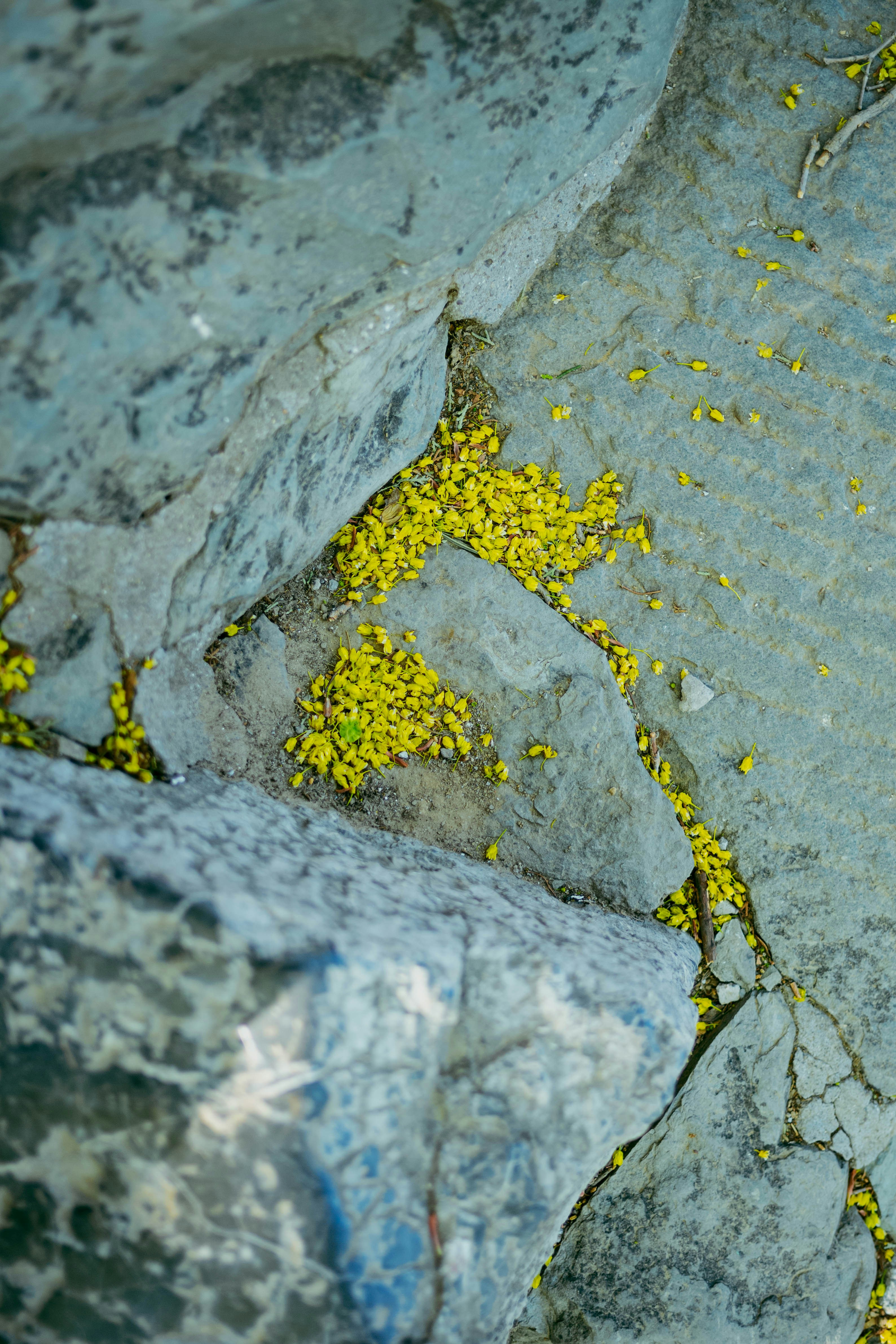 Photo by tommaomaoer