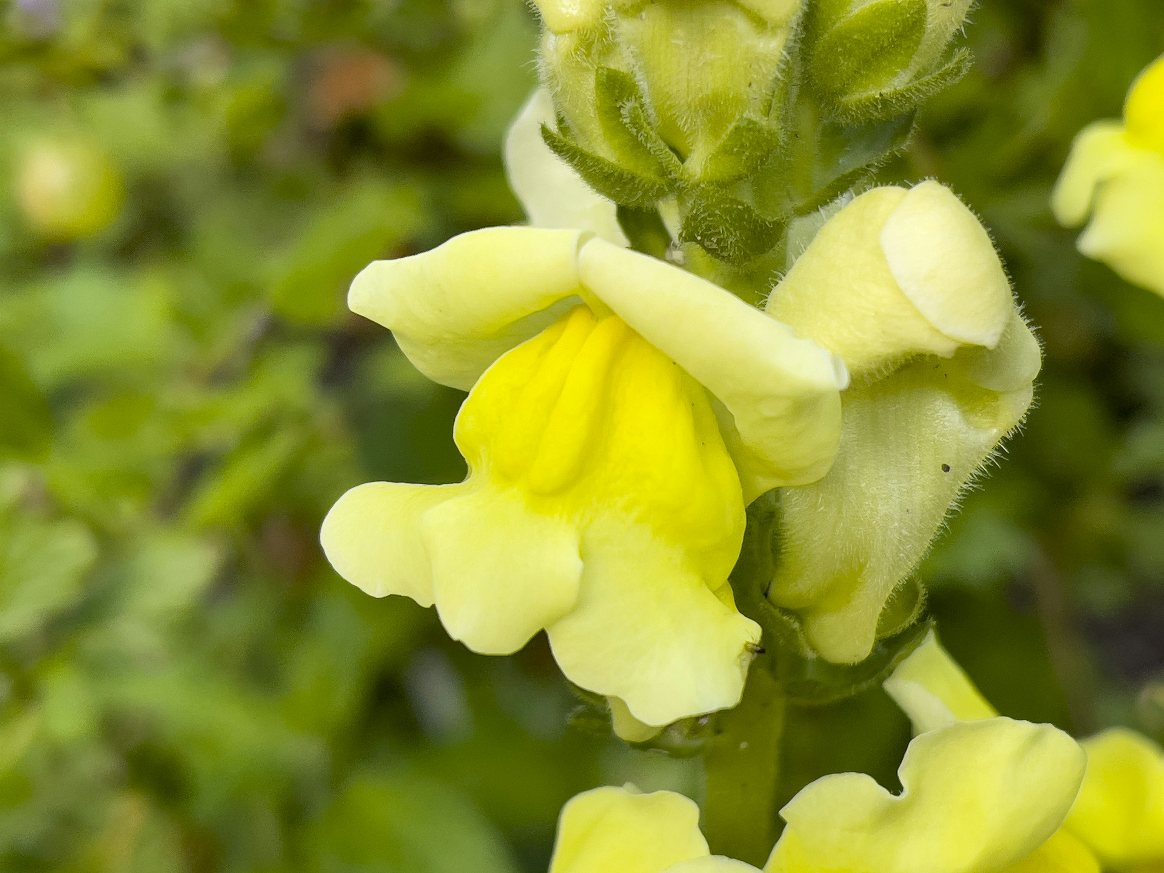 Photo by saschaoberman