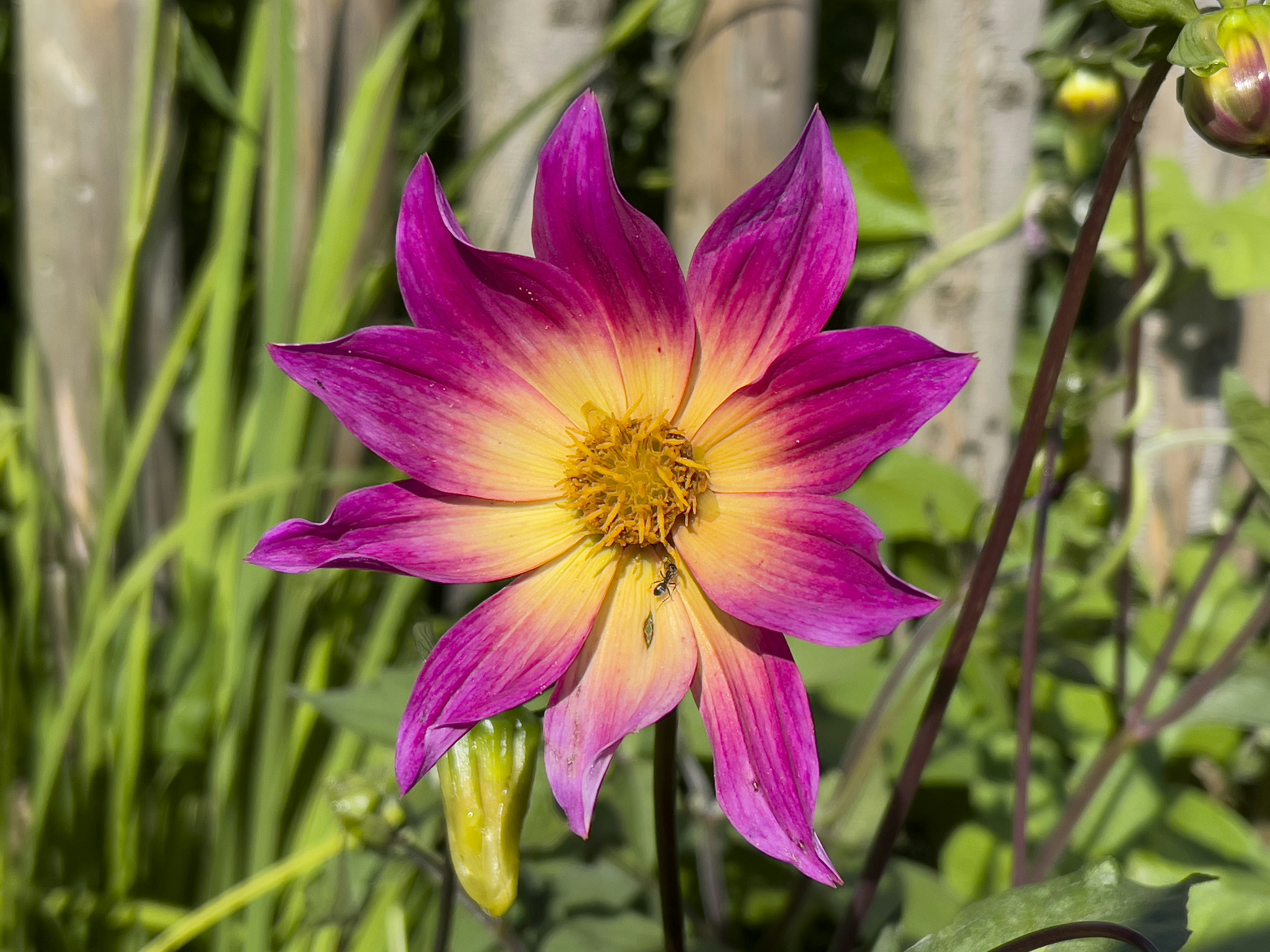 Photo by saschaoberman