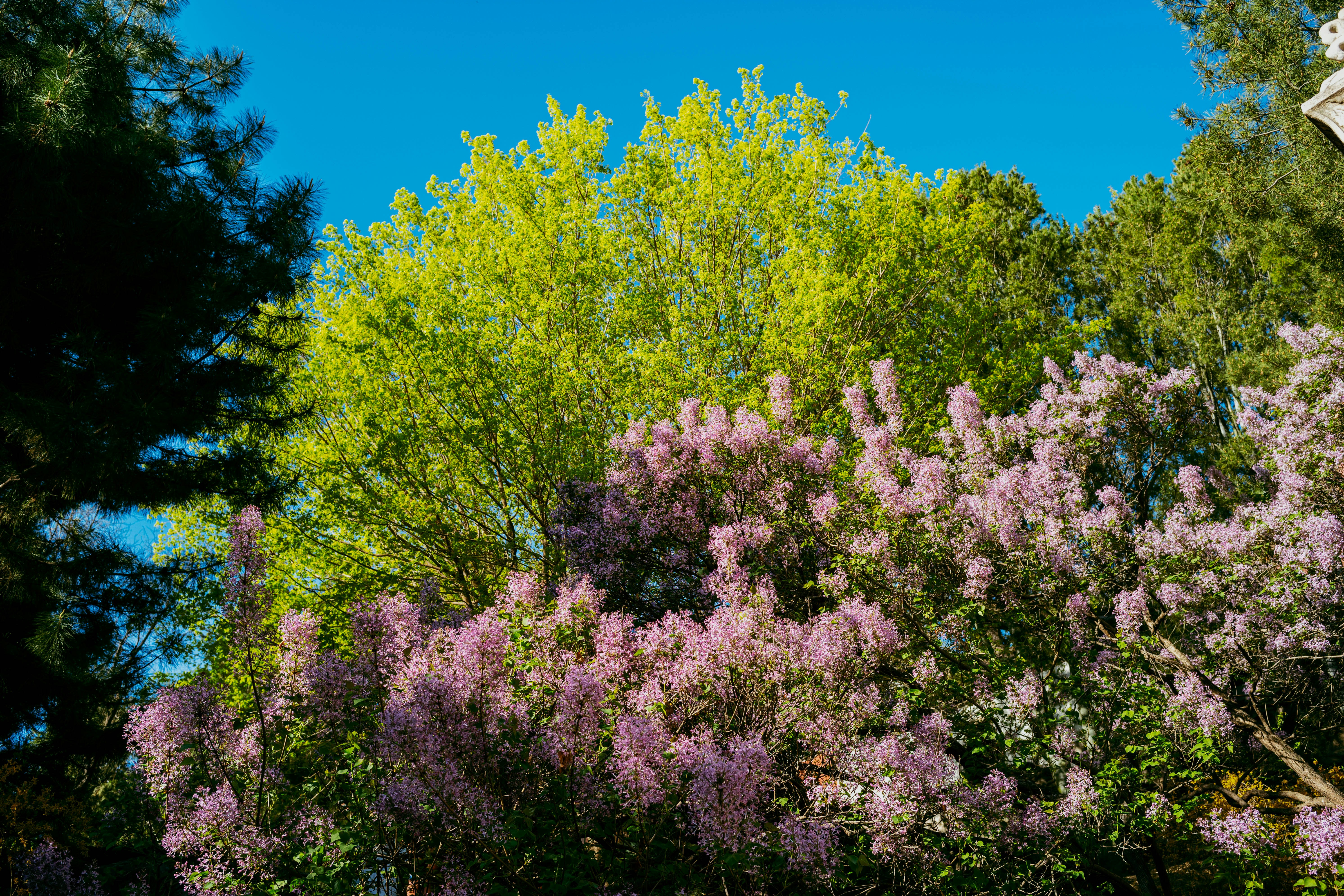 Photo by tommaomaoer