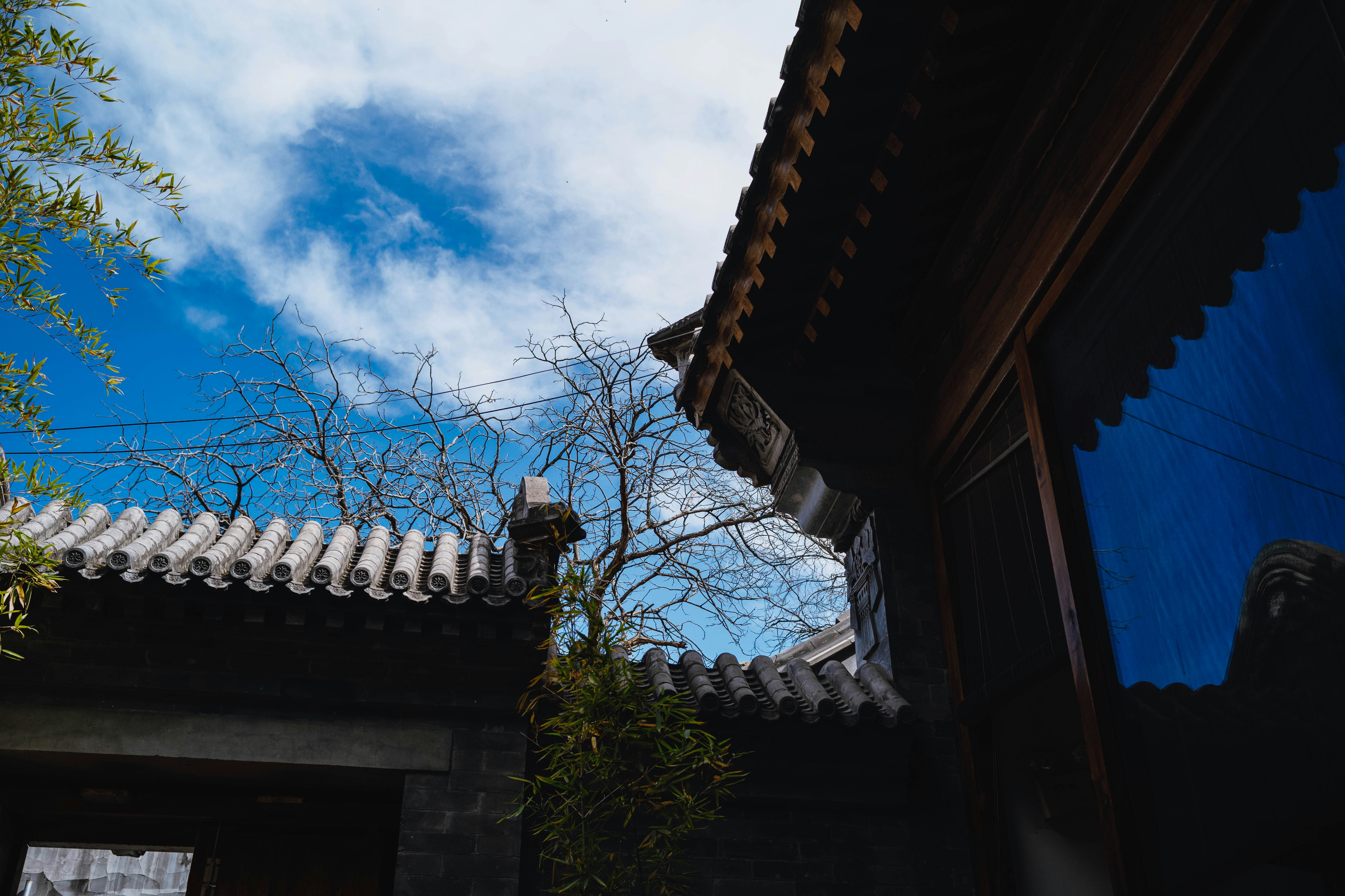 Photo by tommaomaoer